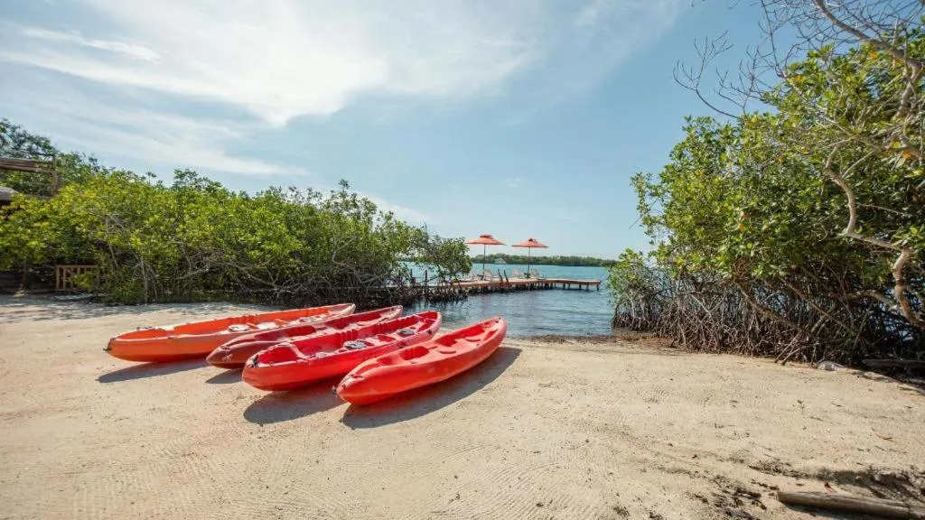 Activities in Hotel Playa Scondida Barú