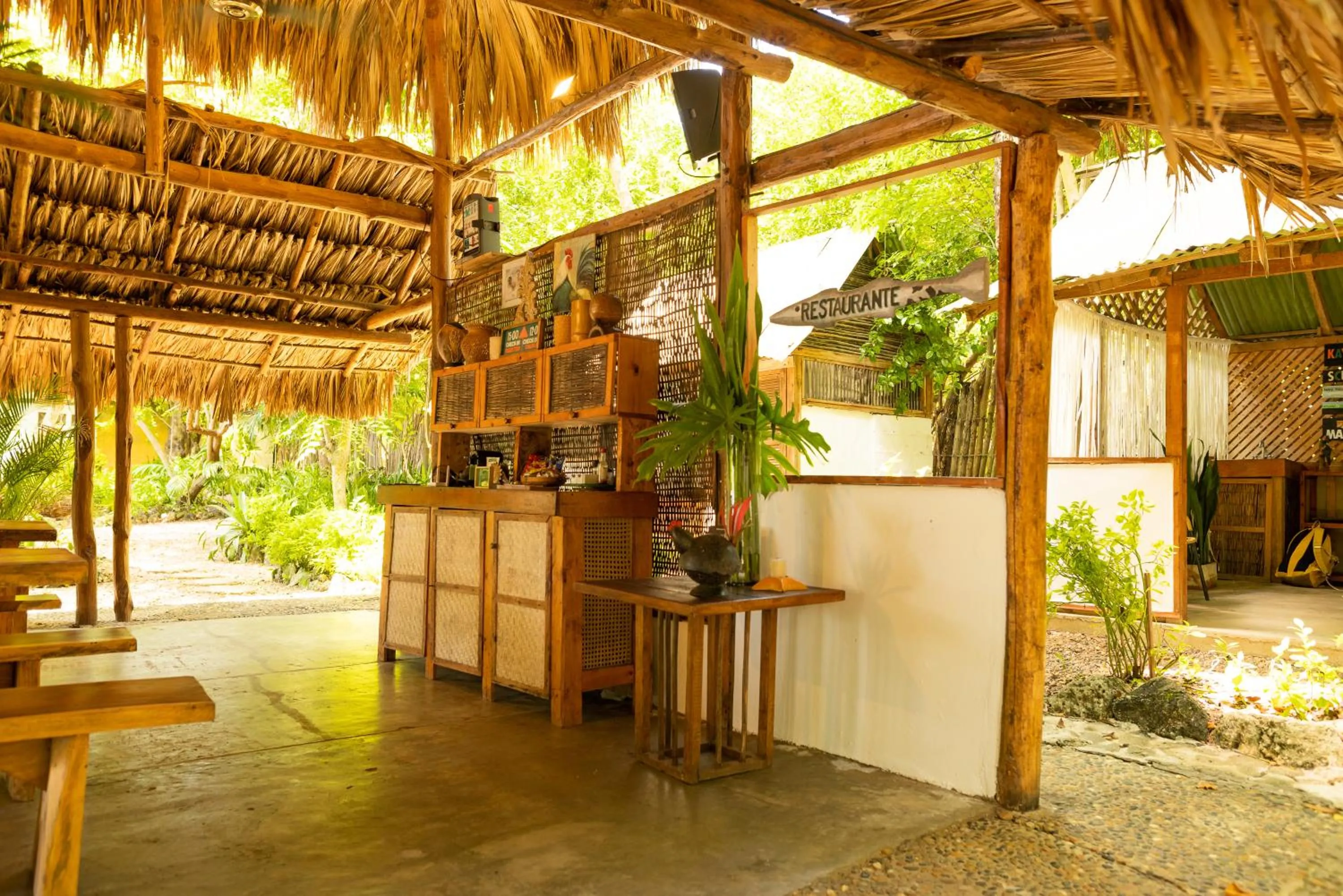 Natural landscape in Hotel Playa Scondida Barú