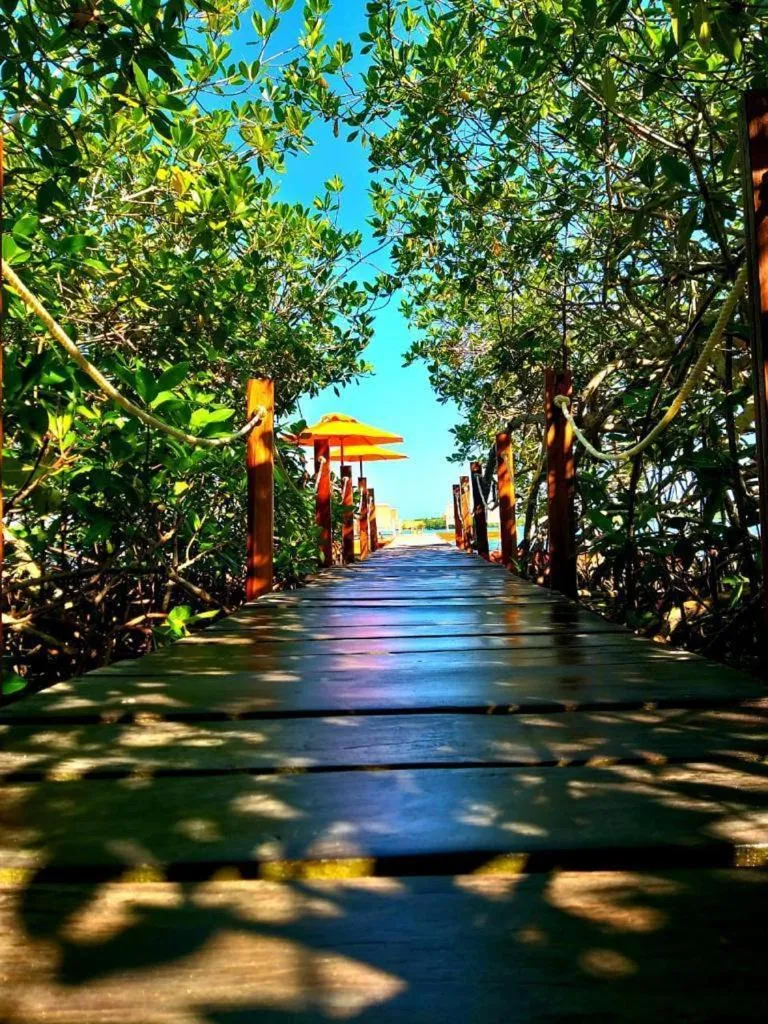 Day in Hotel Playa Scondida Barú