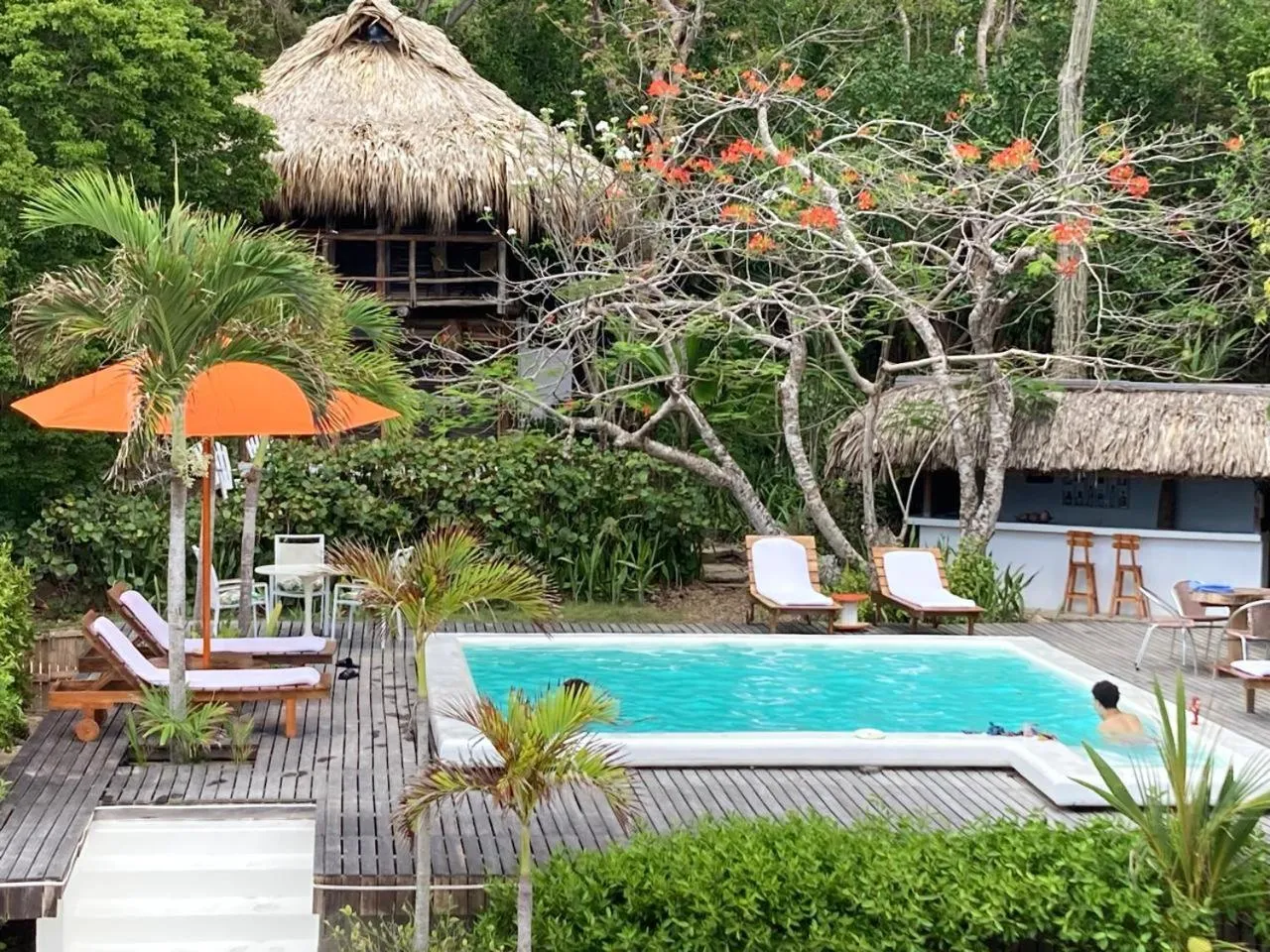 Hotel Playa Scondida Barú