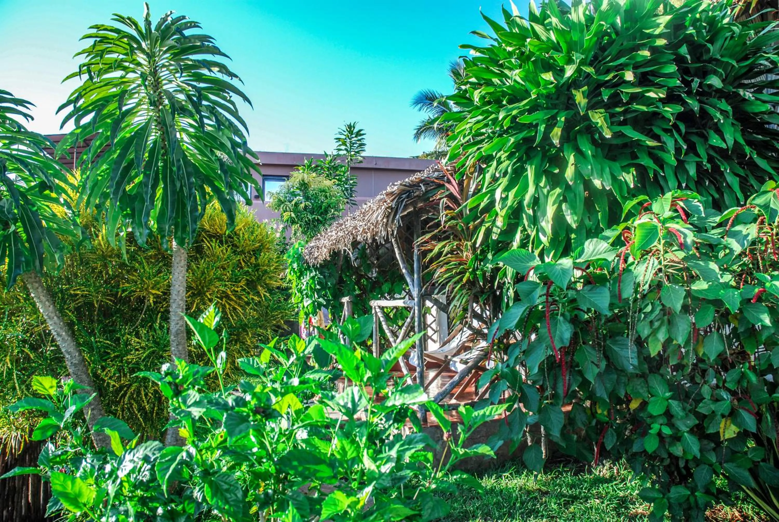 Property building in Coucher de Soleil