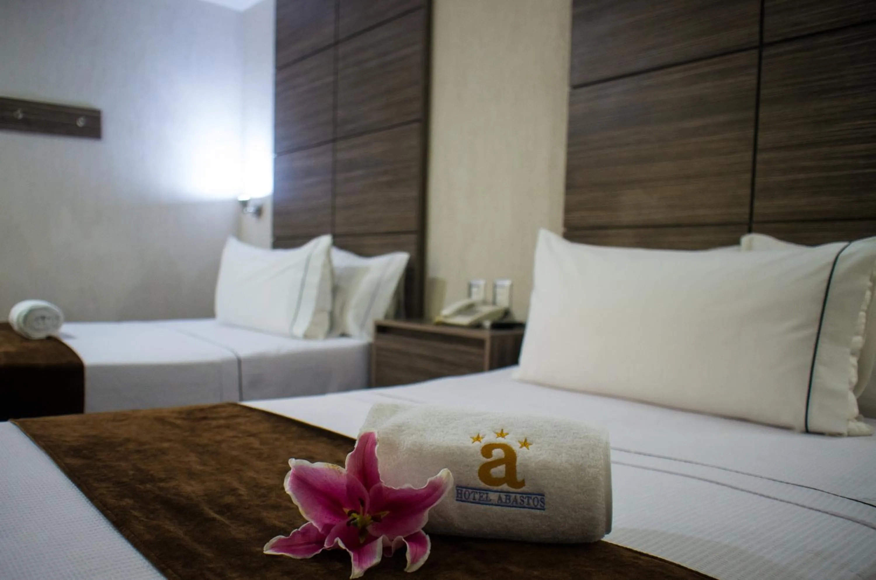 Bed in Hotel Expo Abastos