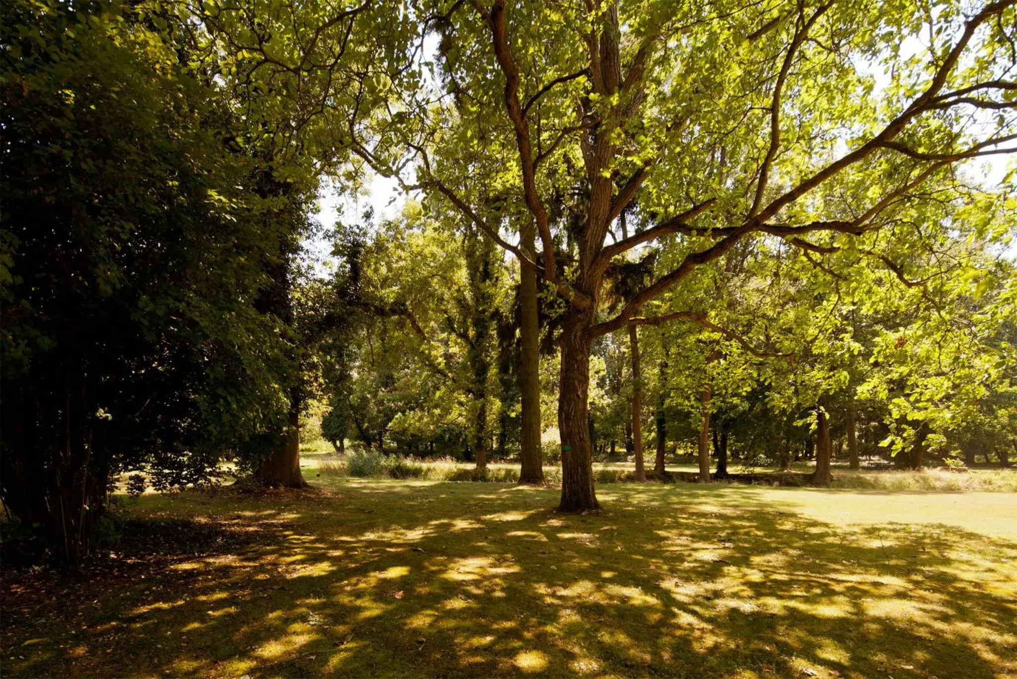 One-Bedroom Suite in Schlosshotel Ziethen One-Bedroom Suite in Schlosshotel Ziethen