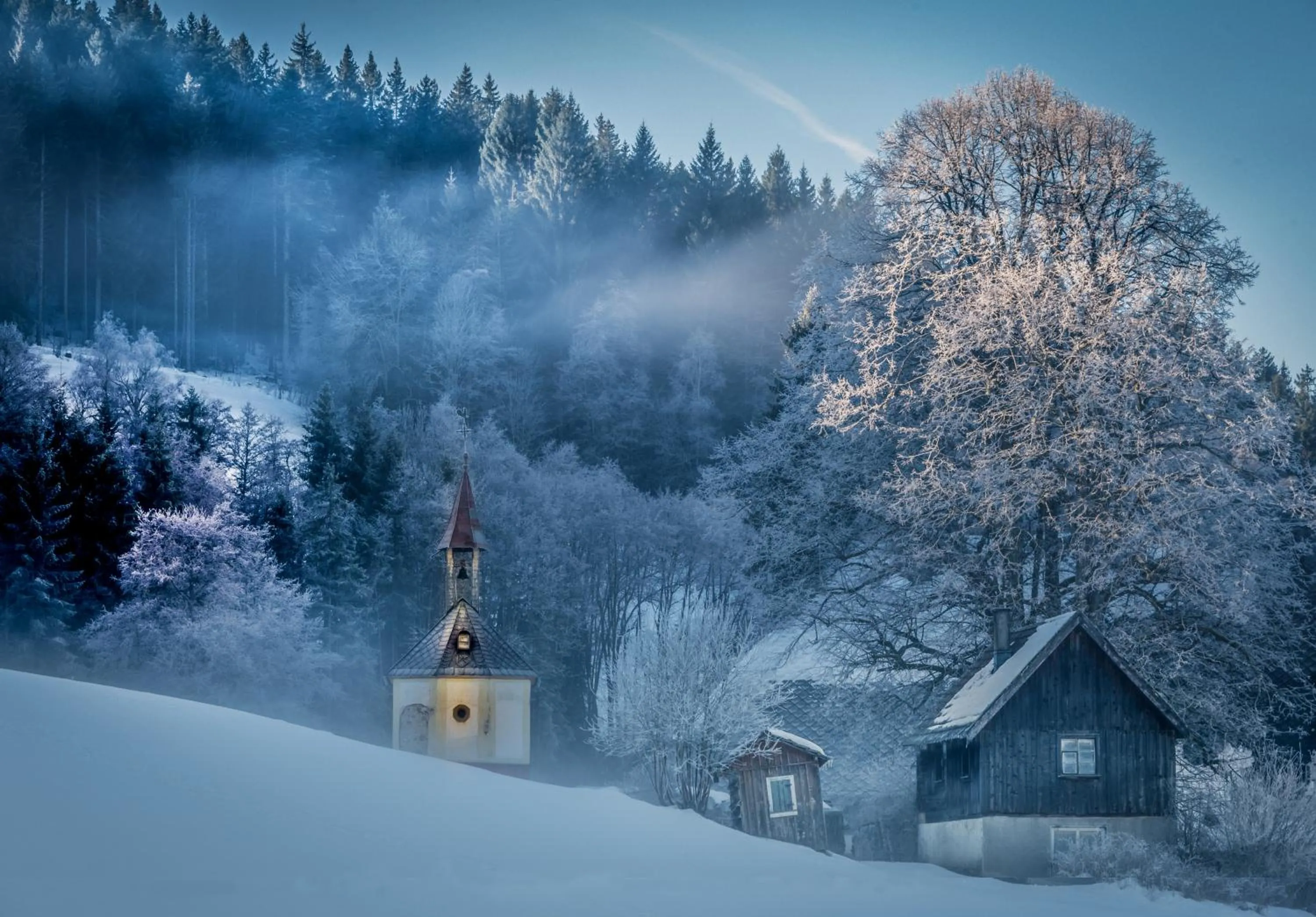 Natural landscape in Hotel Bären Titisee