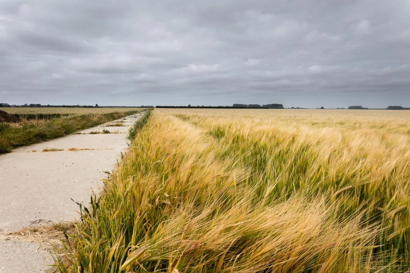 Nearby landmark in B&B Destiny