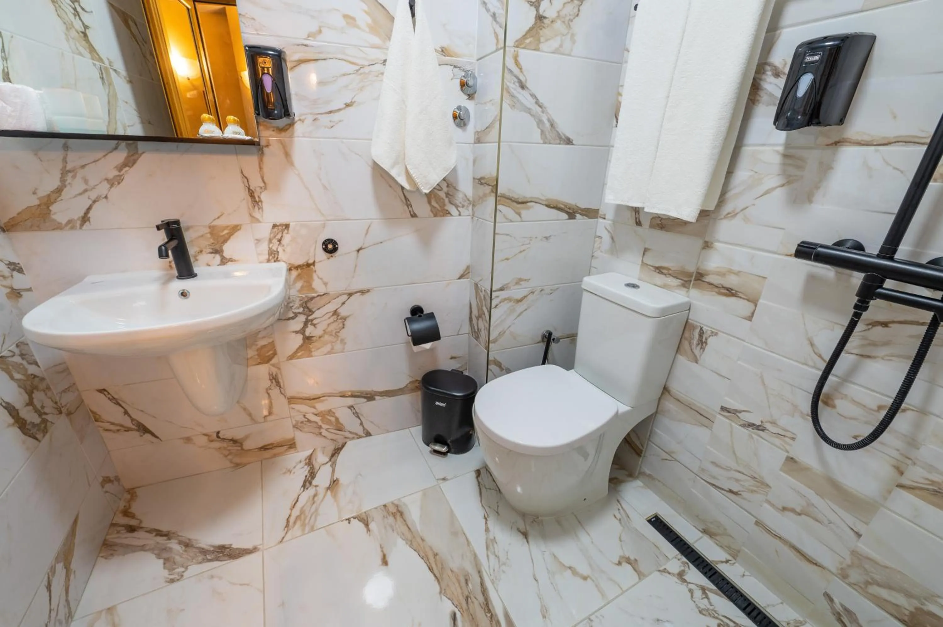 Shower in Hotel Color