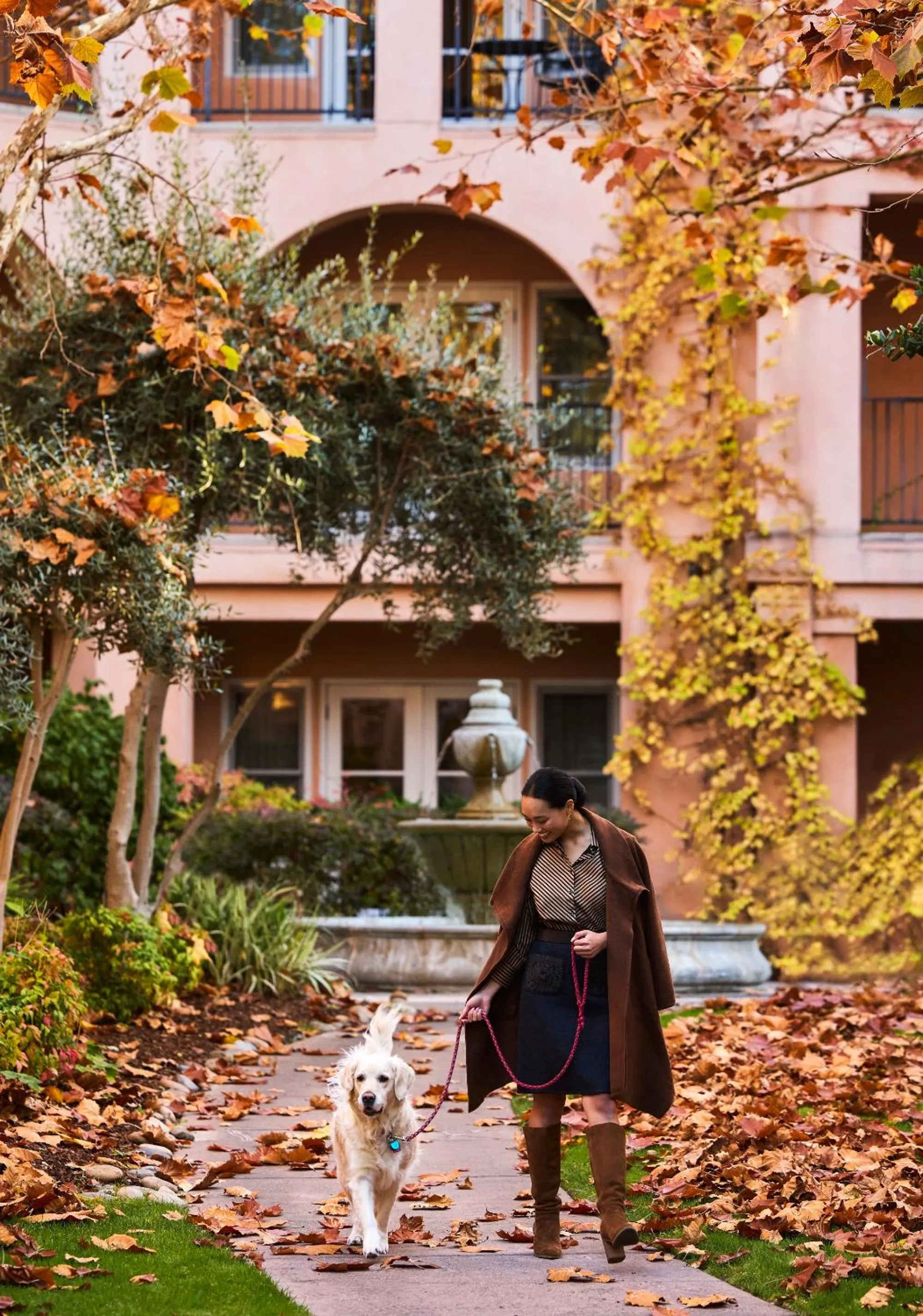 pet friendly in Fairmont Sonoma Mission Inn & Spa