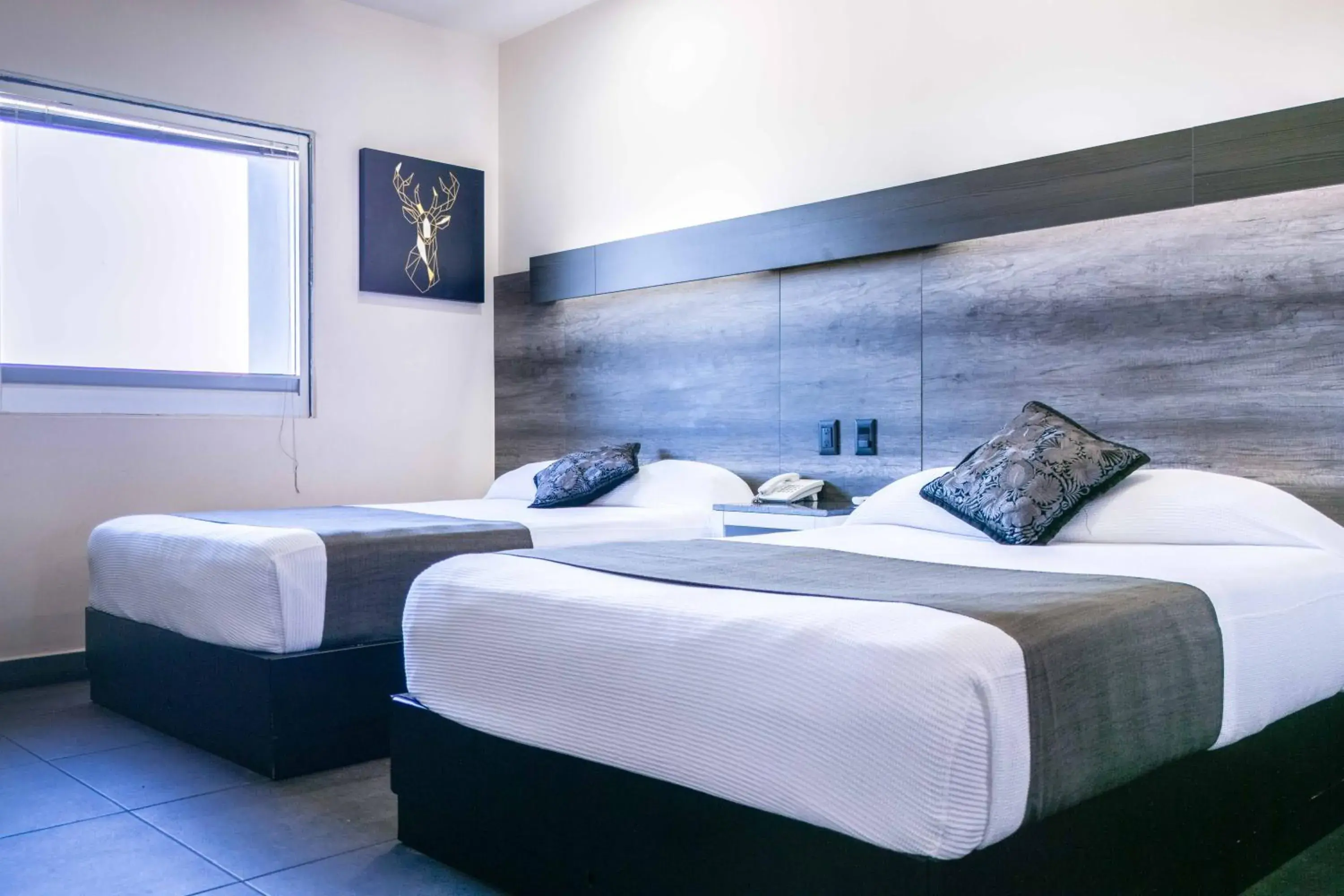 Photo of the whole room, Bed in Homesuites Malecon Photo of the whole room, Bed in Homesuites Malecon