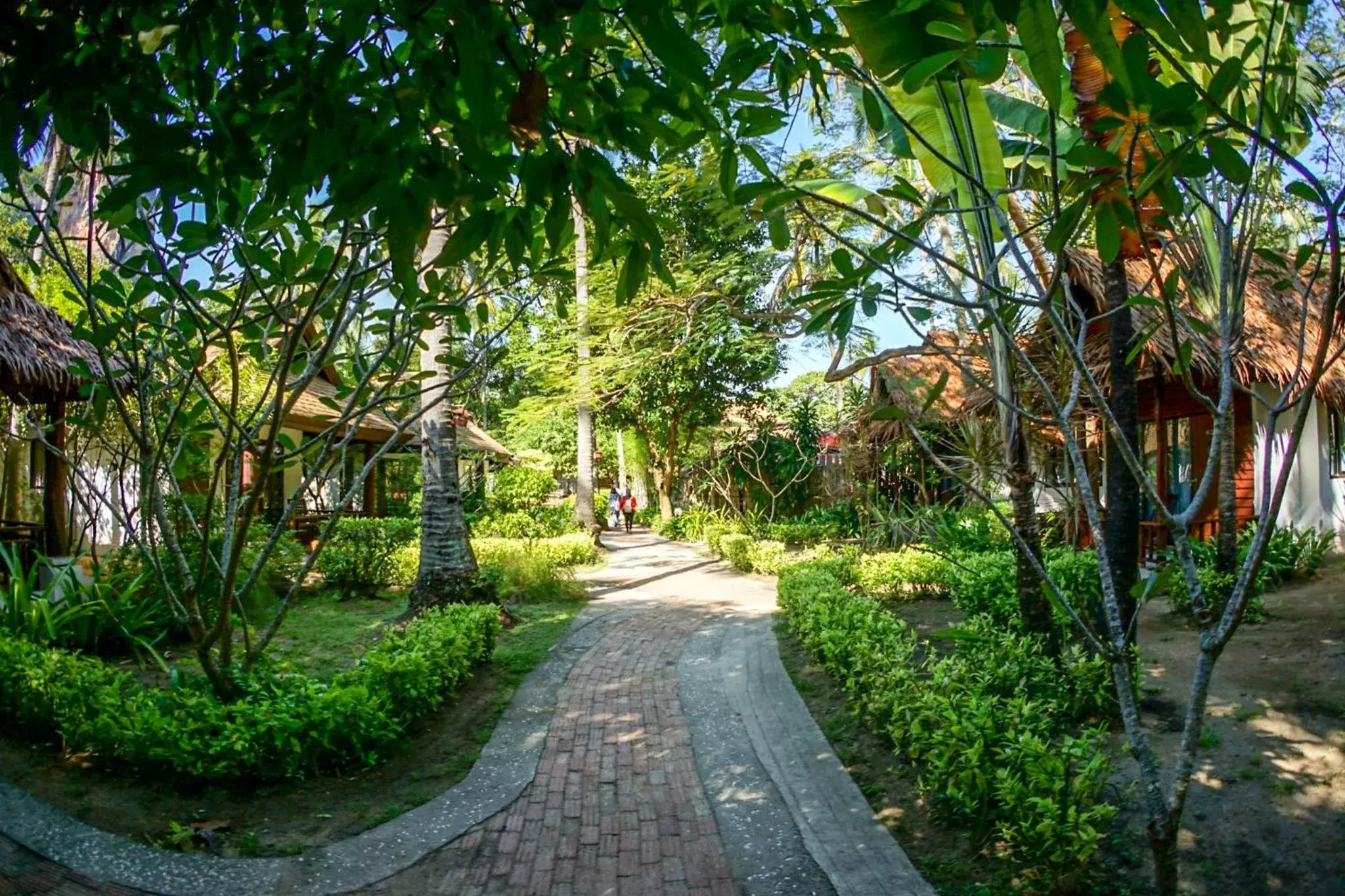 Garden view in Sand Sea Resort Railay Beach Garden view in Sand Sea Resort Railay Beach