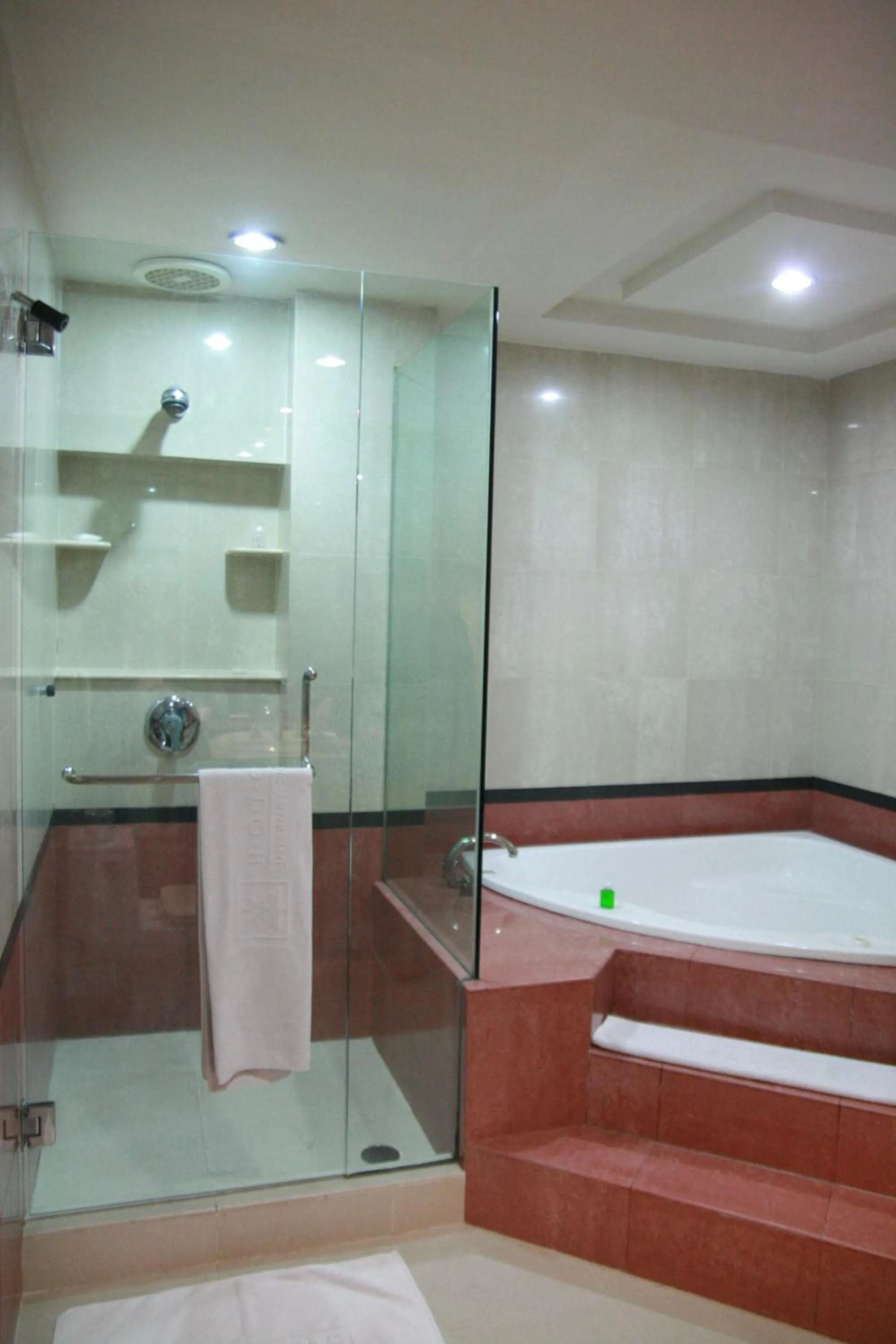 Bathroom in Hotel Sibayak Internasional