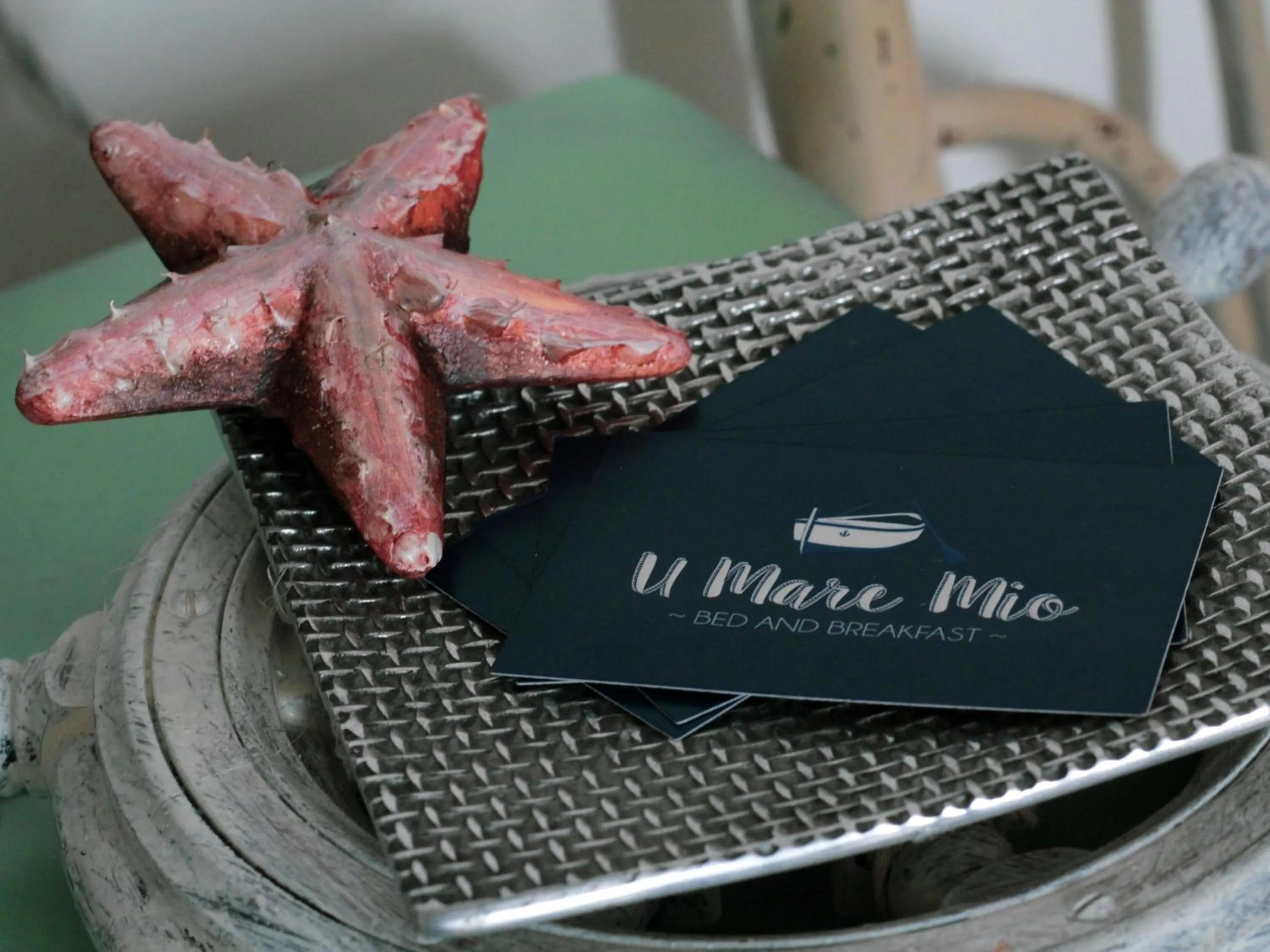 Logo/Certificate/Sign in B&B U Mare Mio