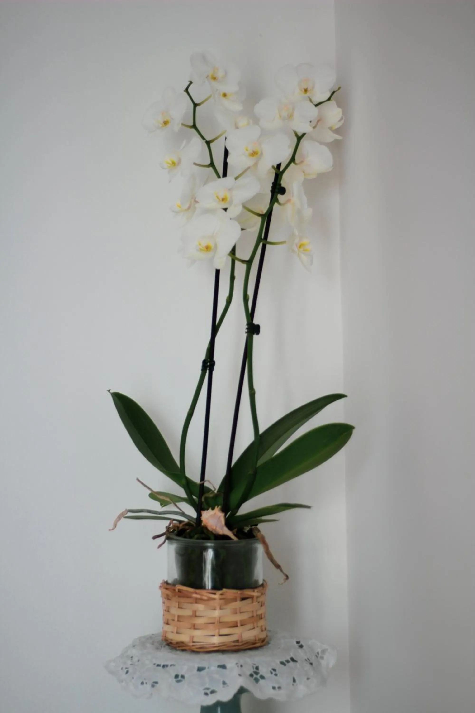 Decorative detail in B&B U Mare Mio