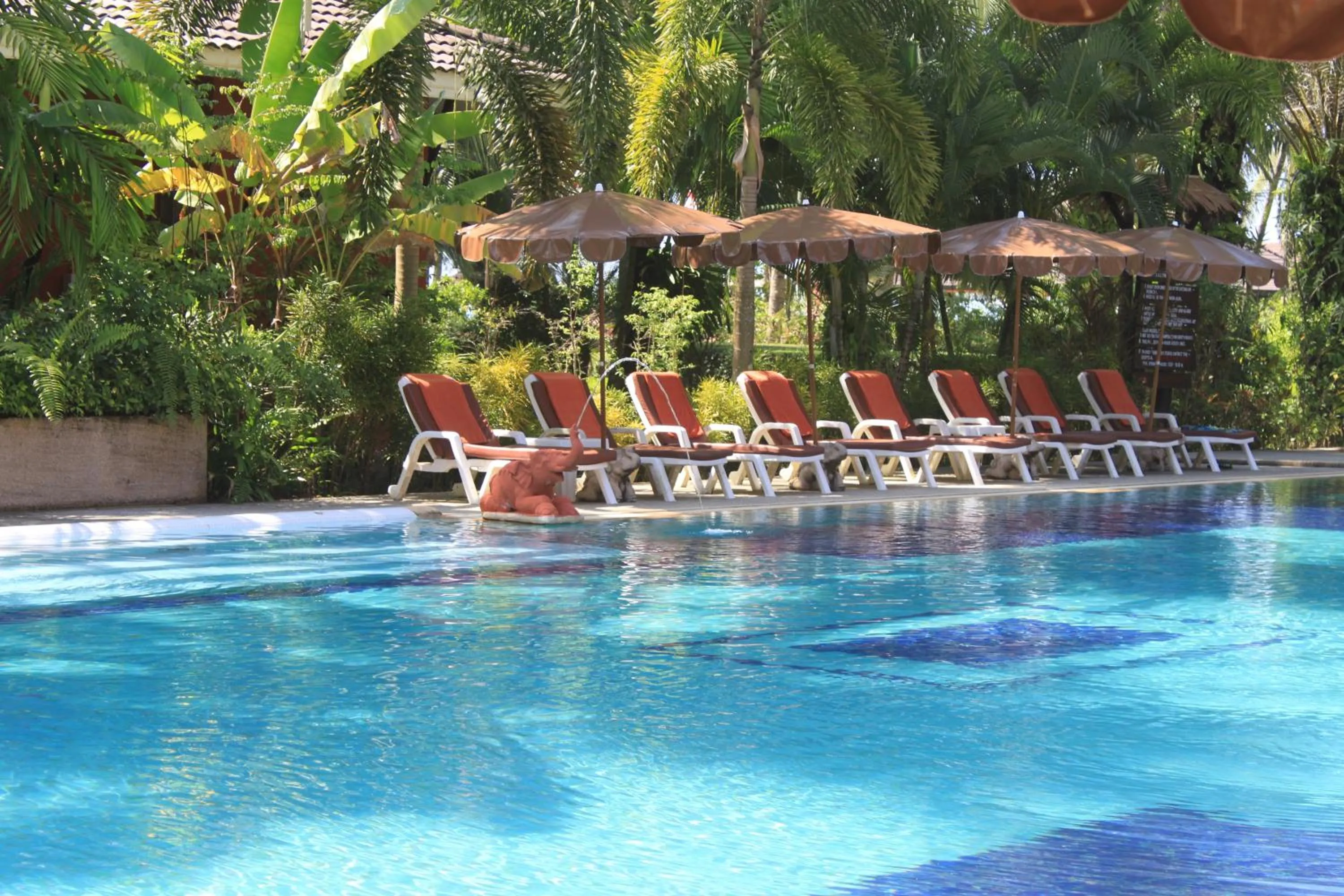 Swimming pool in Sudala Beach Resort