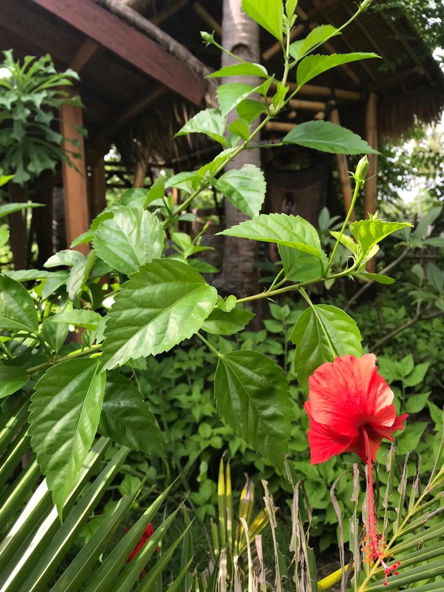 Activities in Meno Madia Bungalows