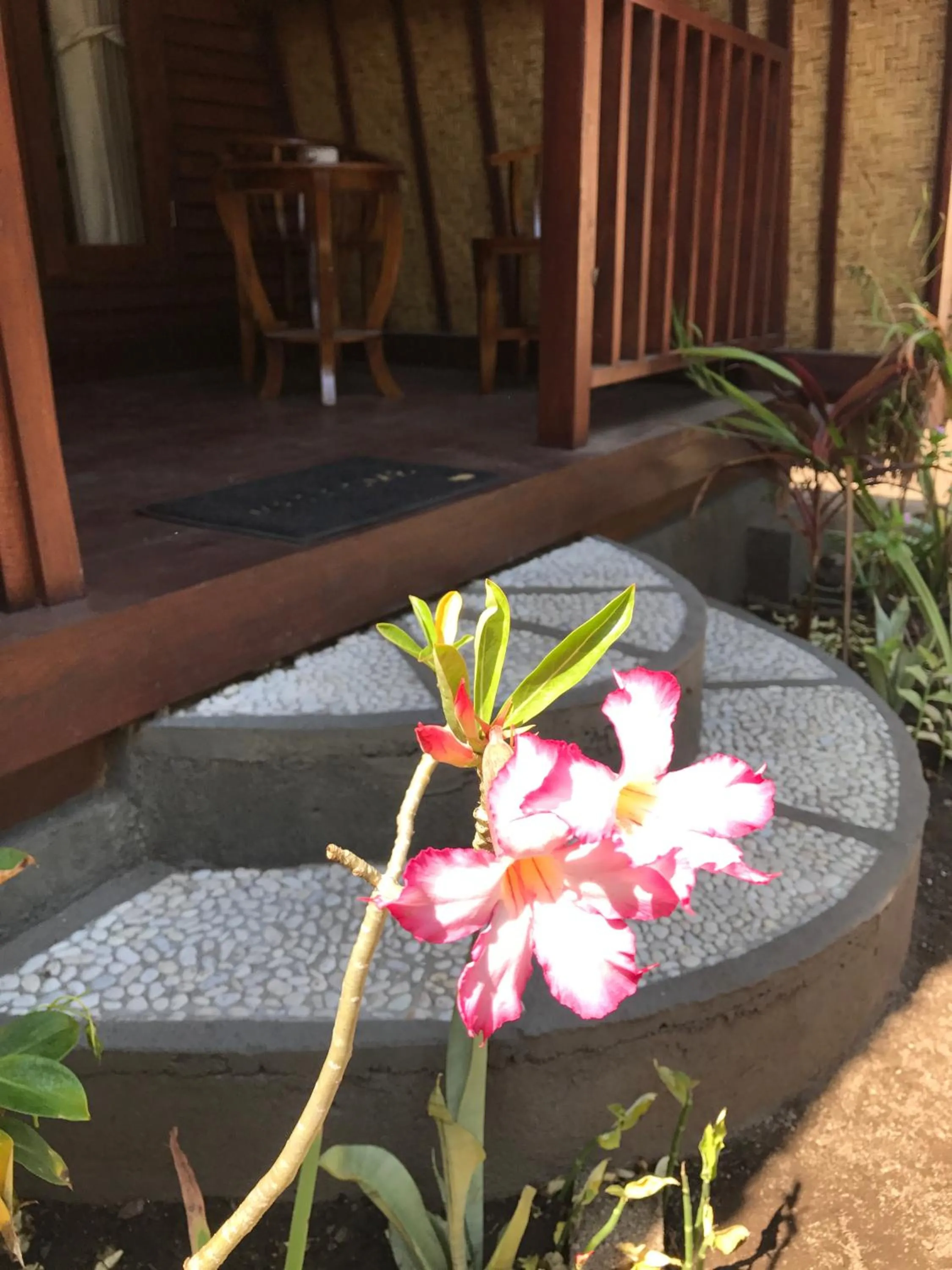 Meno Madia Bungalows