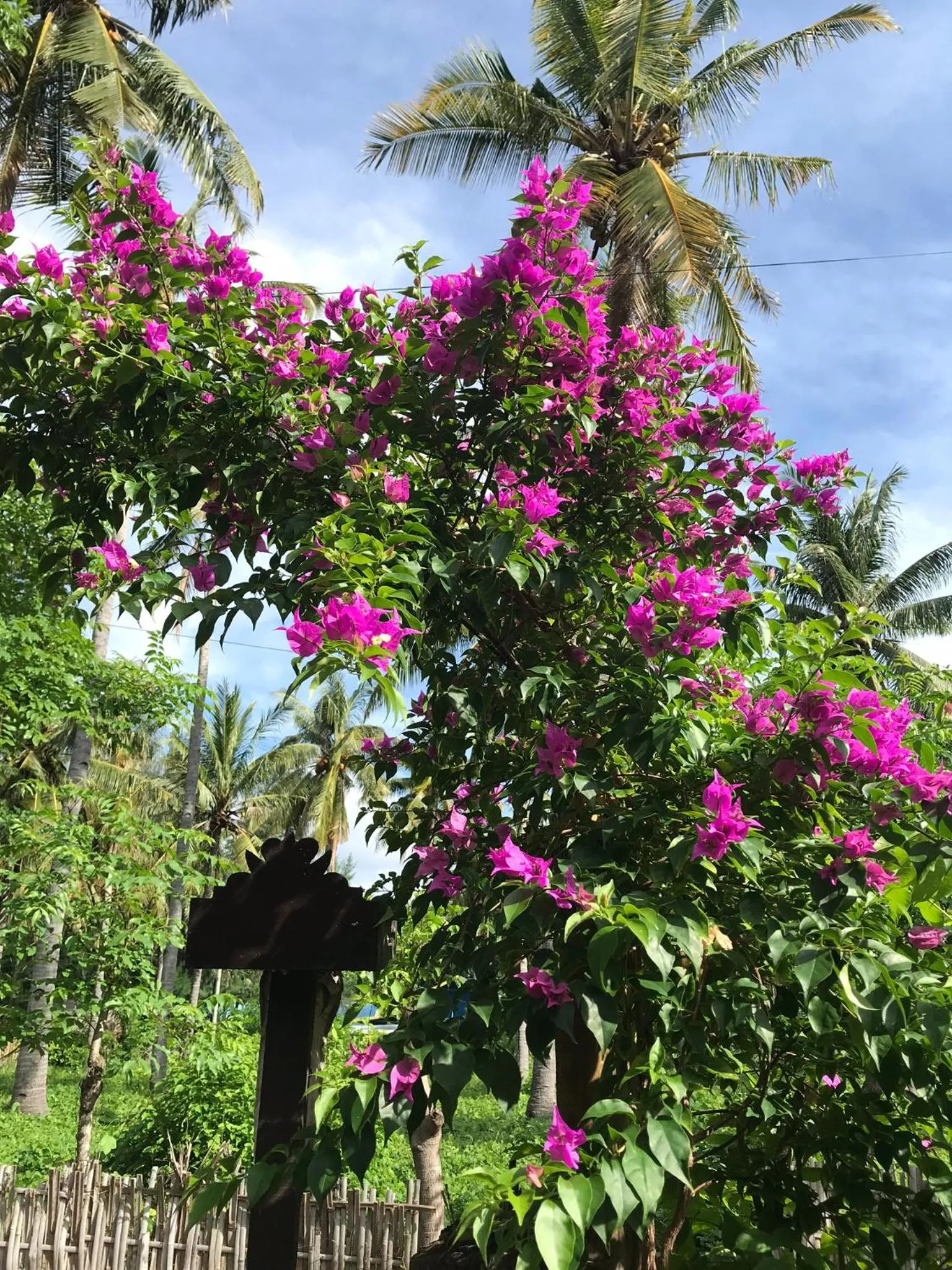 Garden in Meno Madia Bungalows