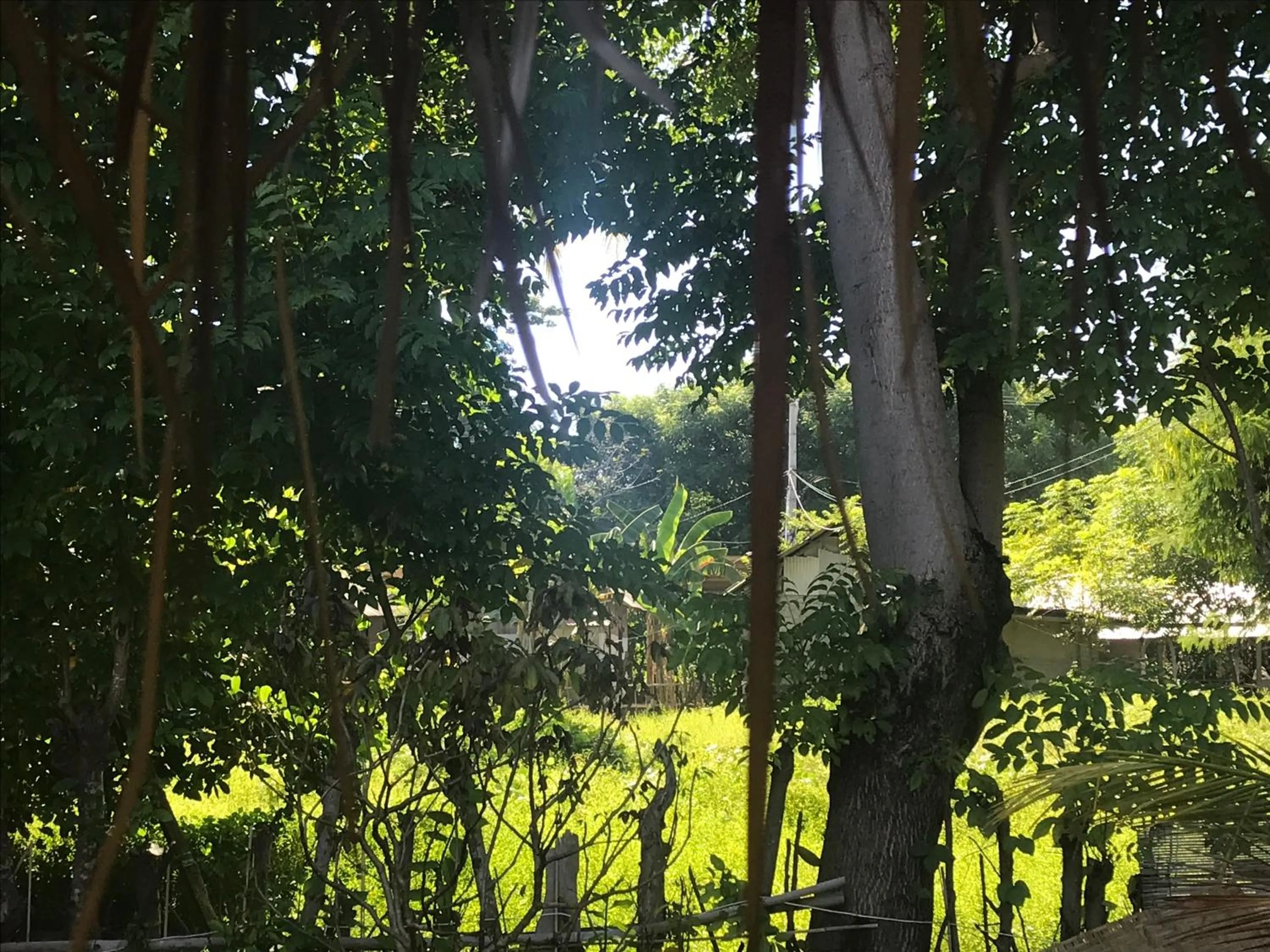 Meno Madia Bungalows