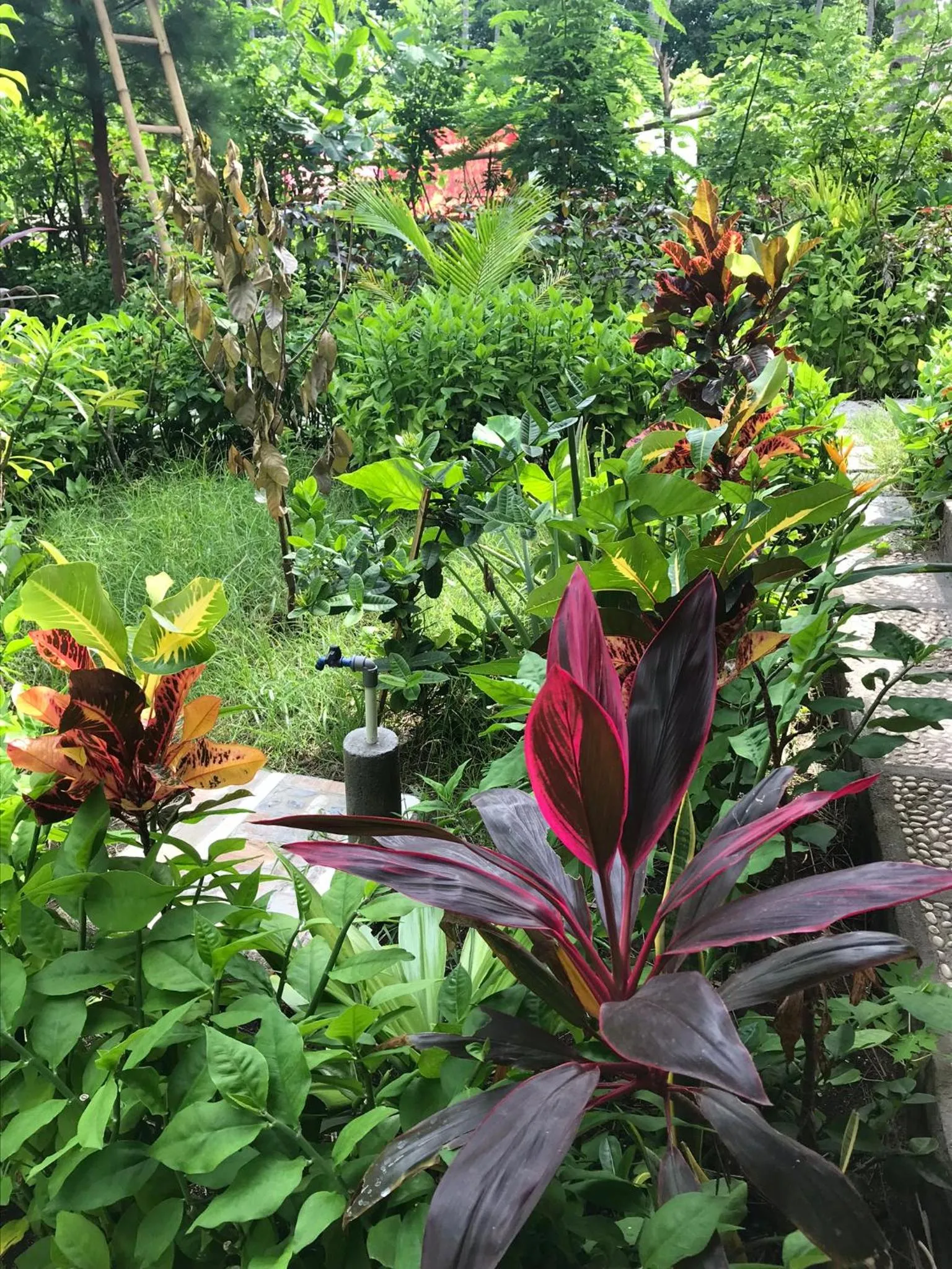 Garden in Meno Madia Bungalows