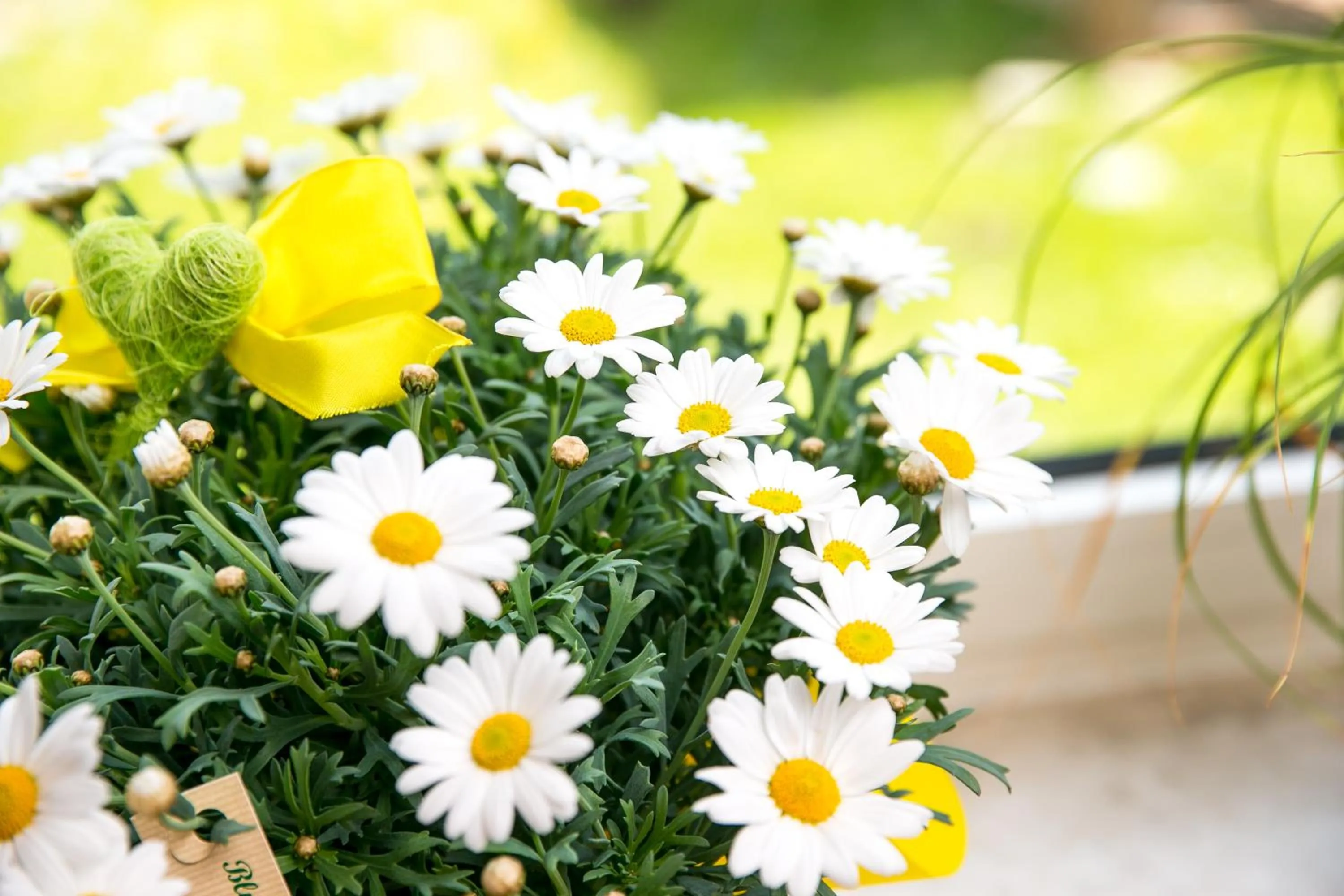 Other in Villa Bucher - Metnitztalerhof