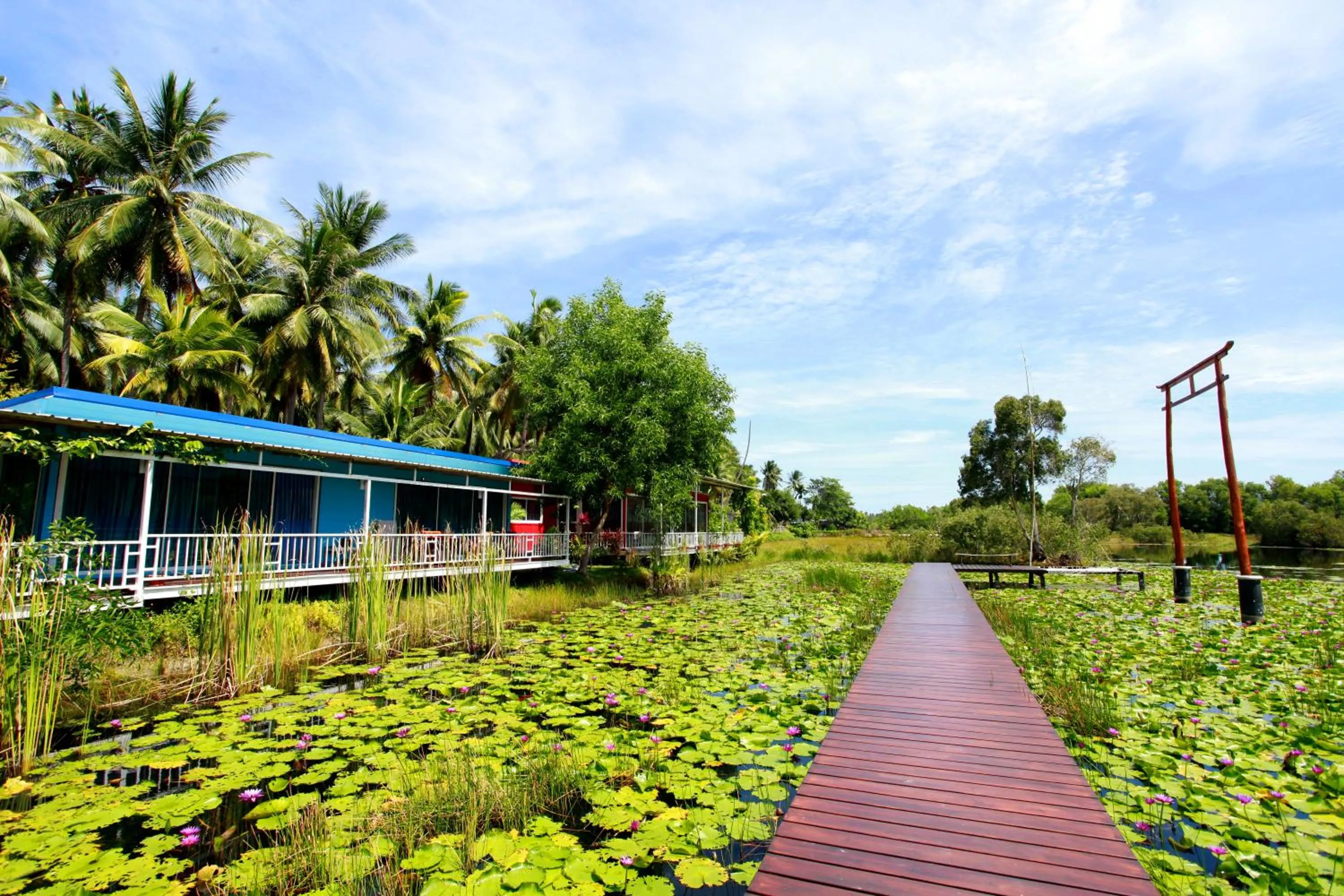 Lake view in Saree Lagoon Villa Koh Samui