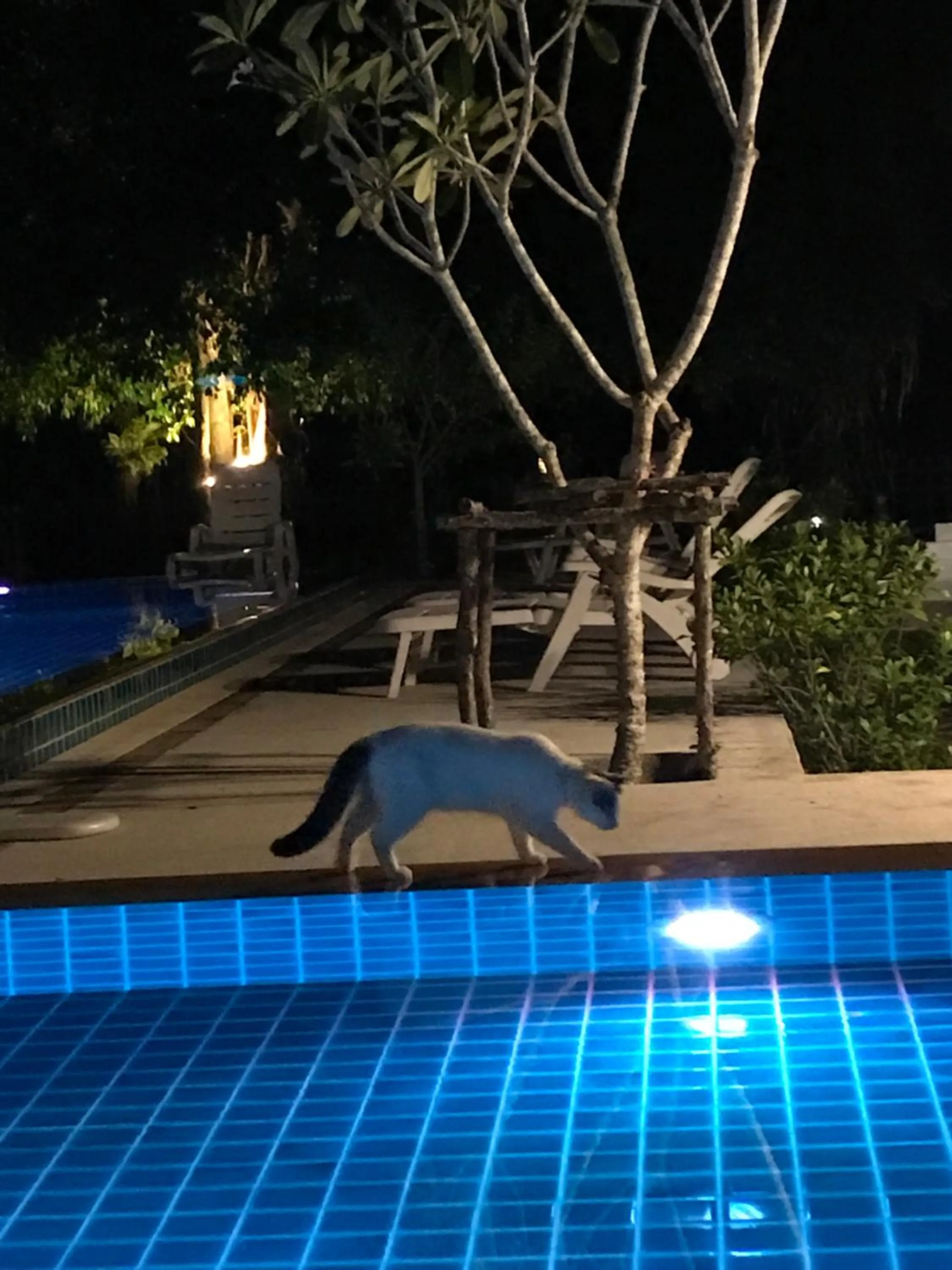 Saree Lagoon Villa Koh Samui