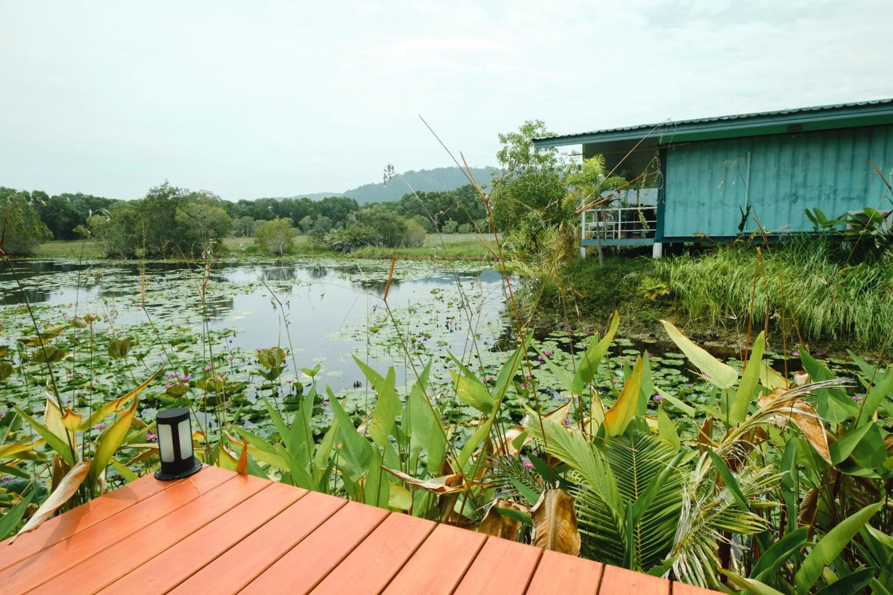 Saree Lagoon Villa Koh Samui