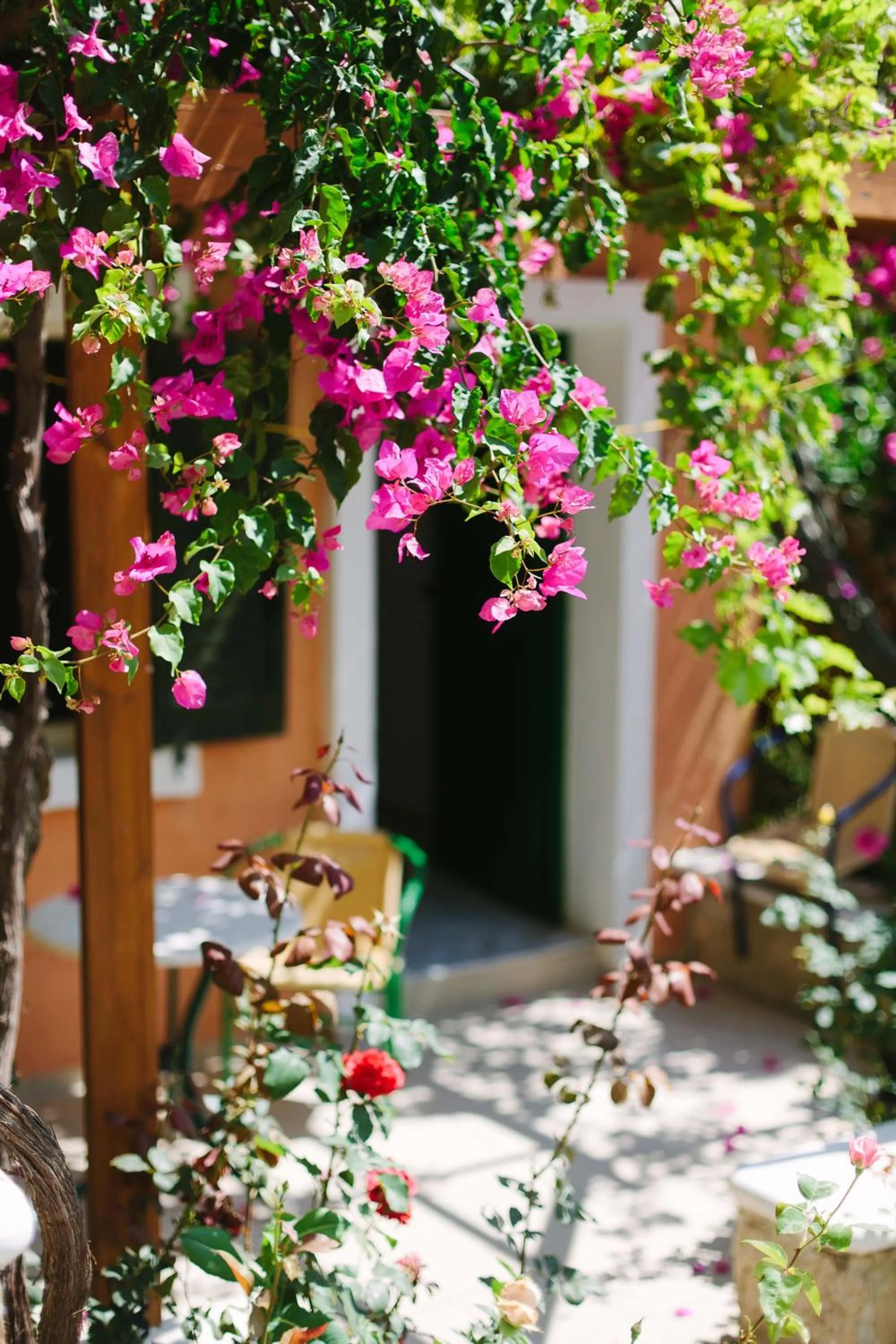 Garden in Ormos Atalia