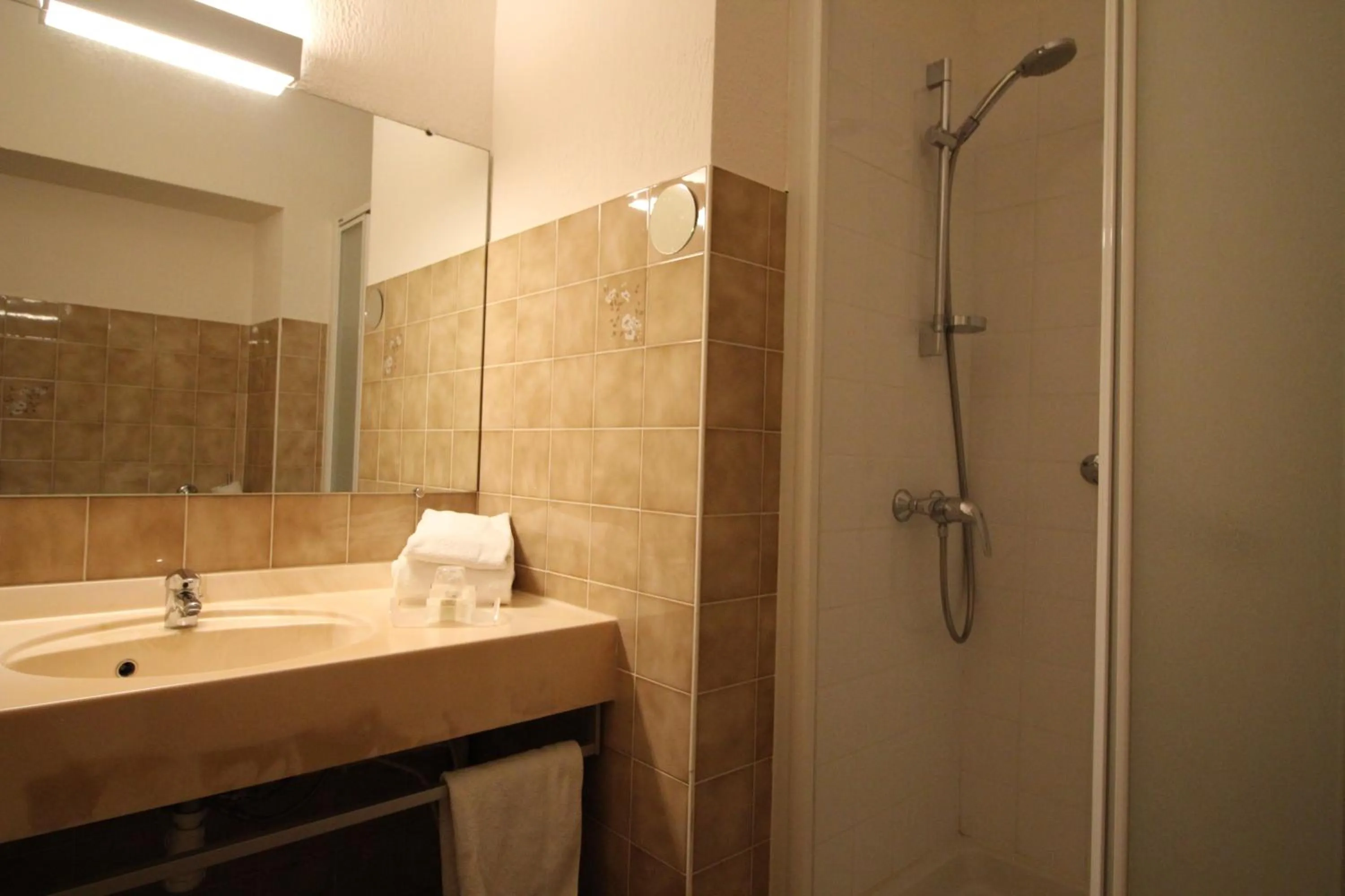 Shower in Logis Hotel restaurant des Thermes