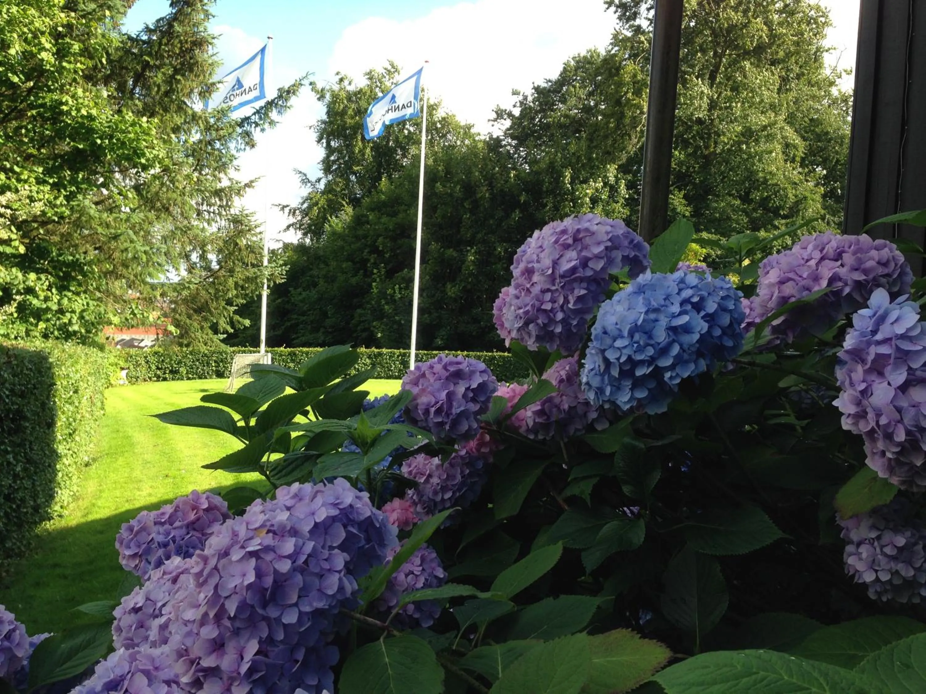 Garden view in Danhostel Kolding