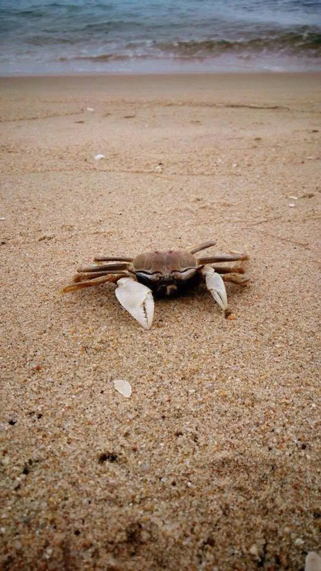 Bayview Beach Resort Bayview Beach Resort