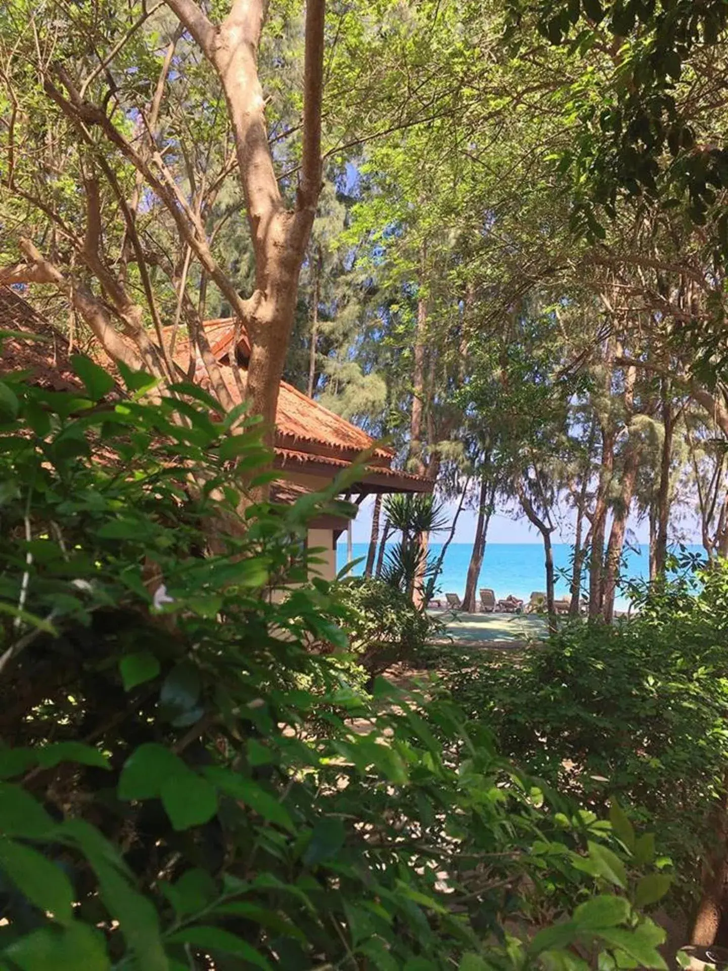 Bayview Beach Resort Bayview Beach Resort