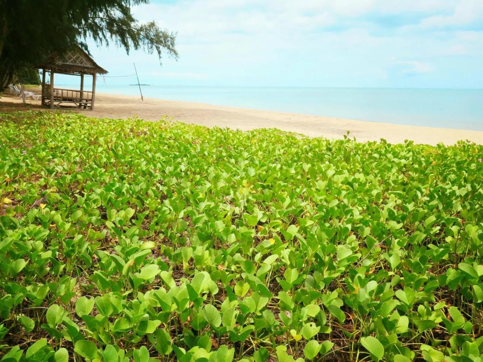 Bayview Beach Resort