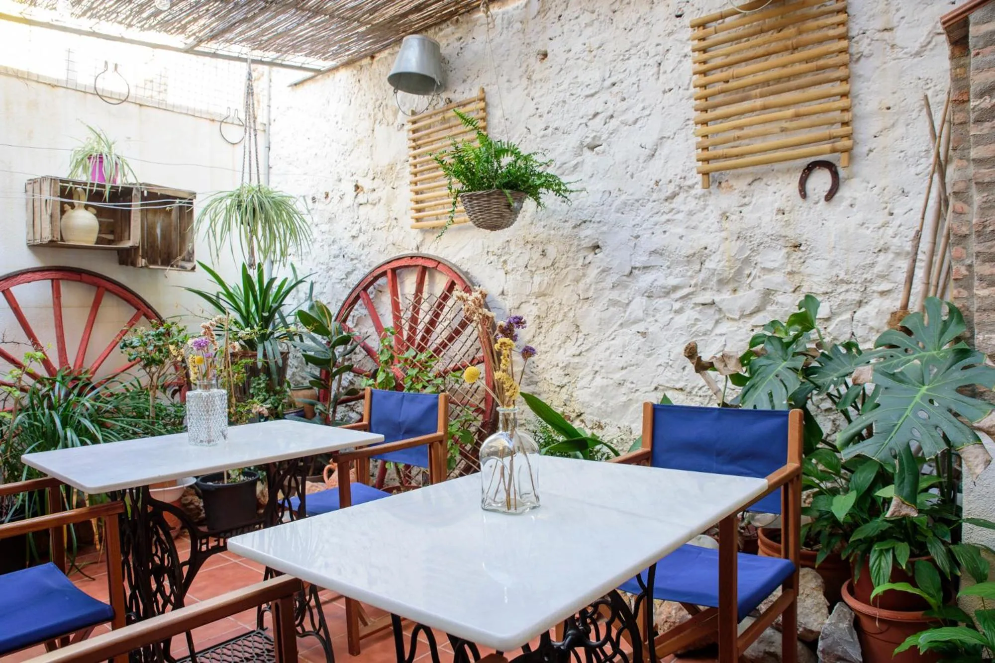 Patio in Casa Arizo, Hotel Boutique
