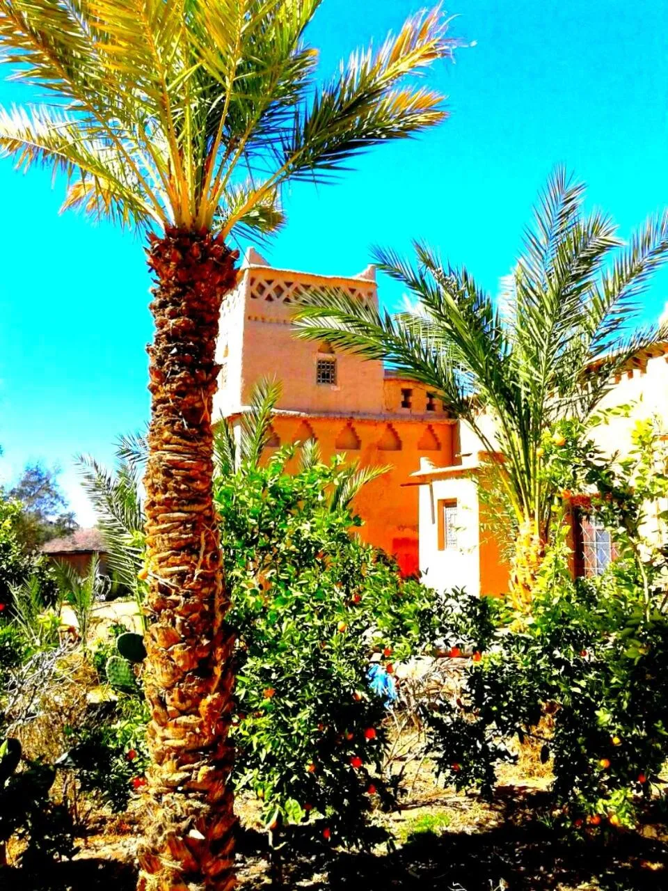 Property building in Kasbah Tiriguioute