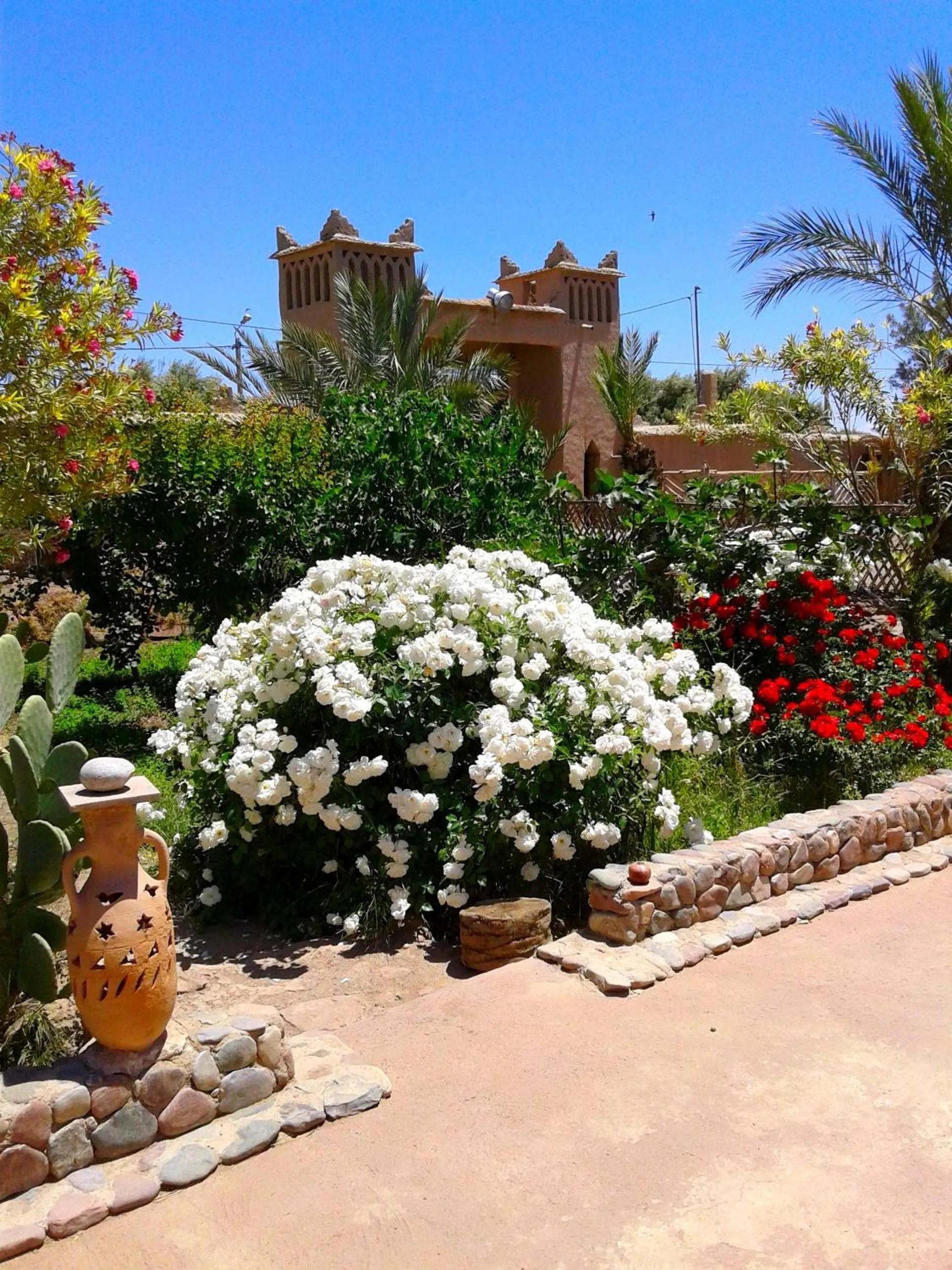 Garden in Kasbah Tiriguioute