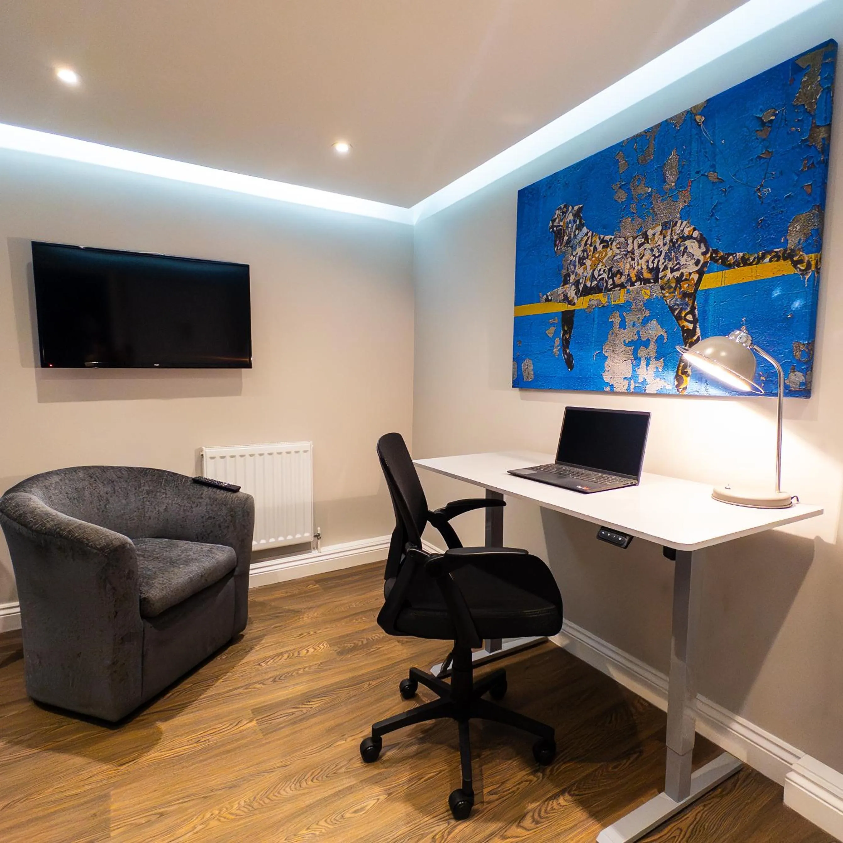 TV and multimedia in The Stay Company, Friar Gate