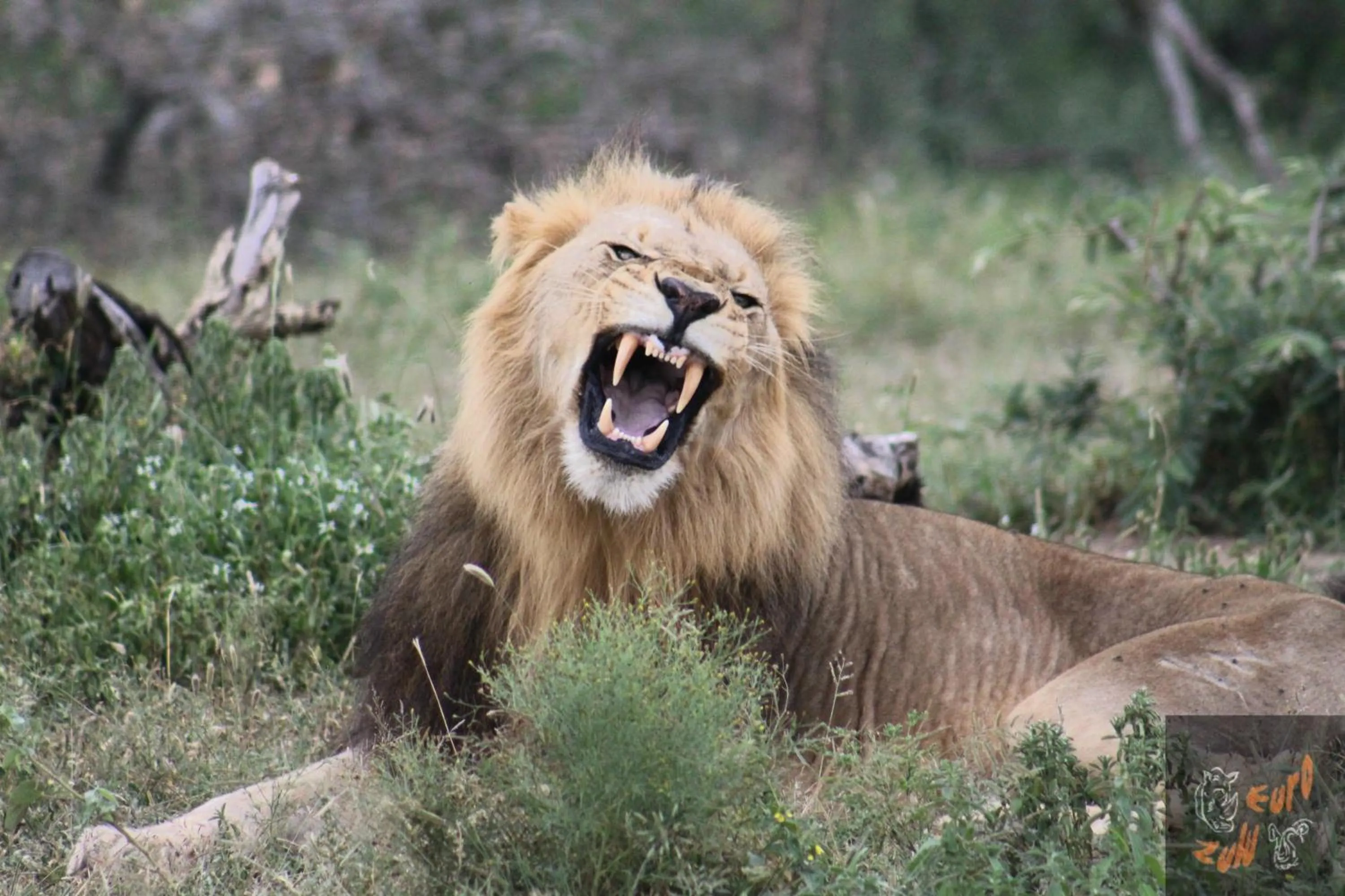 Activities in Lodge Afrique