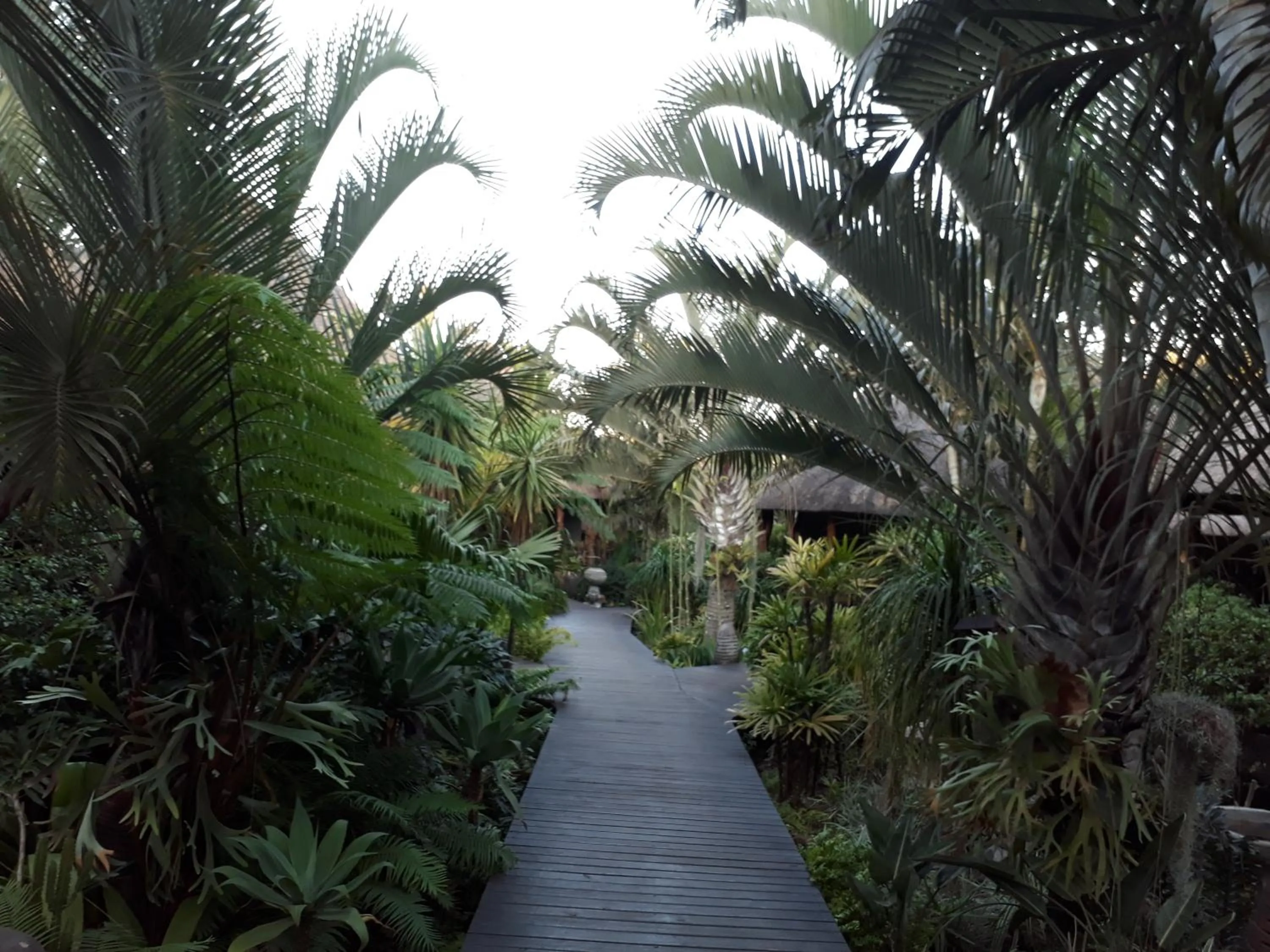 Garden in Lodge Afrique