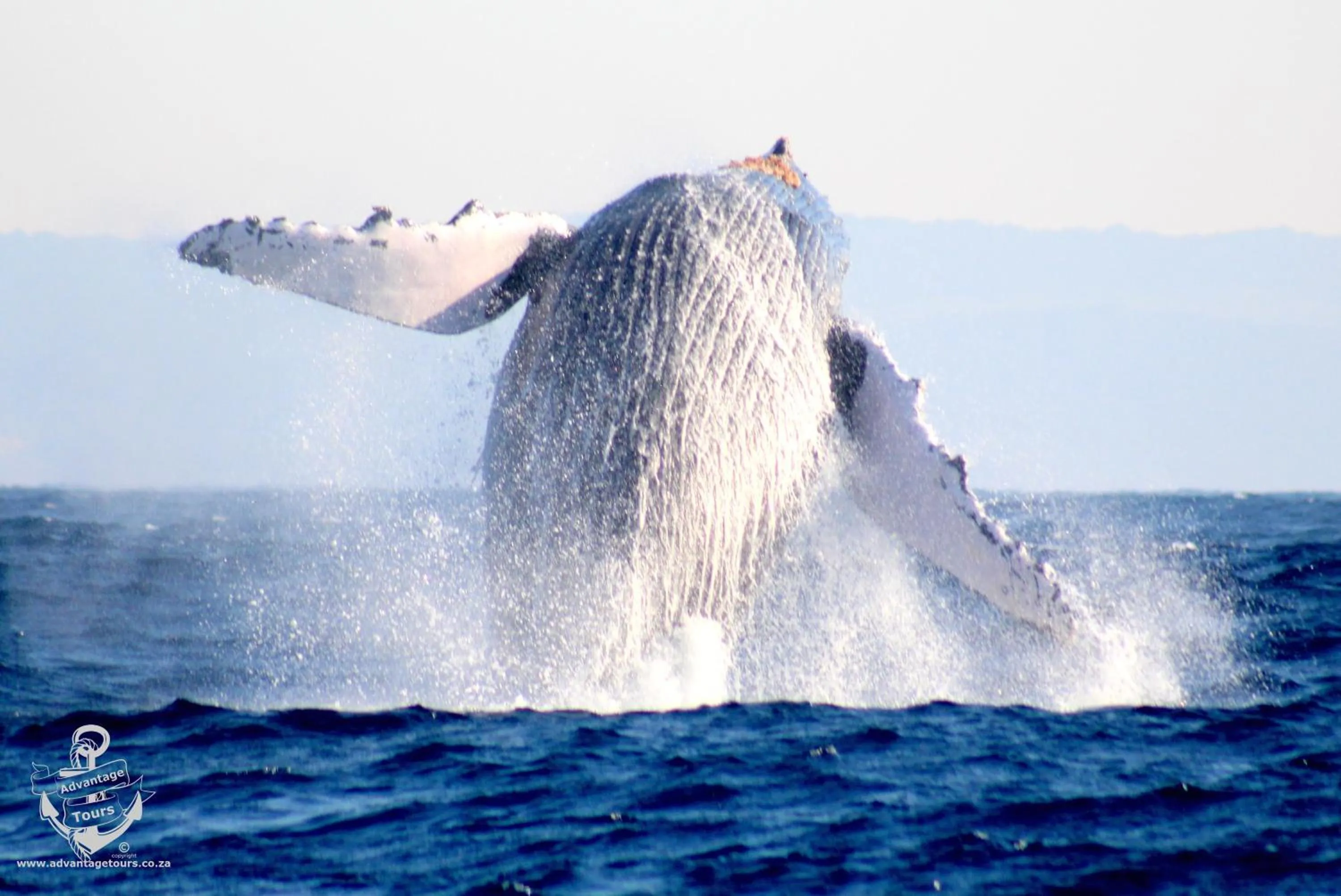 Activities in Lodge Afrique