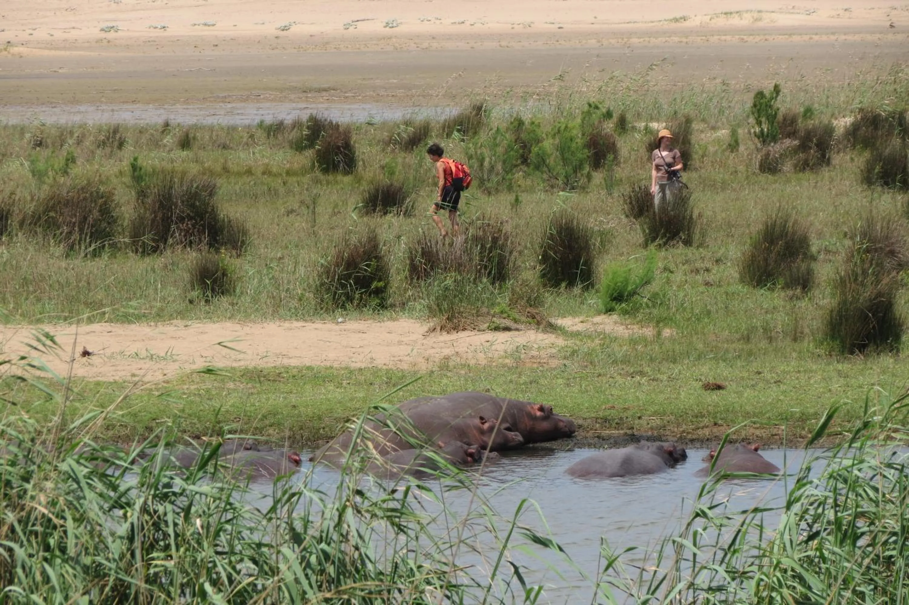 Natural landscape in Lodge Afrique