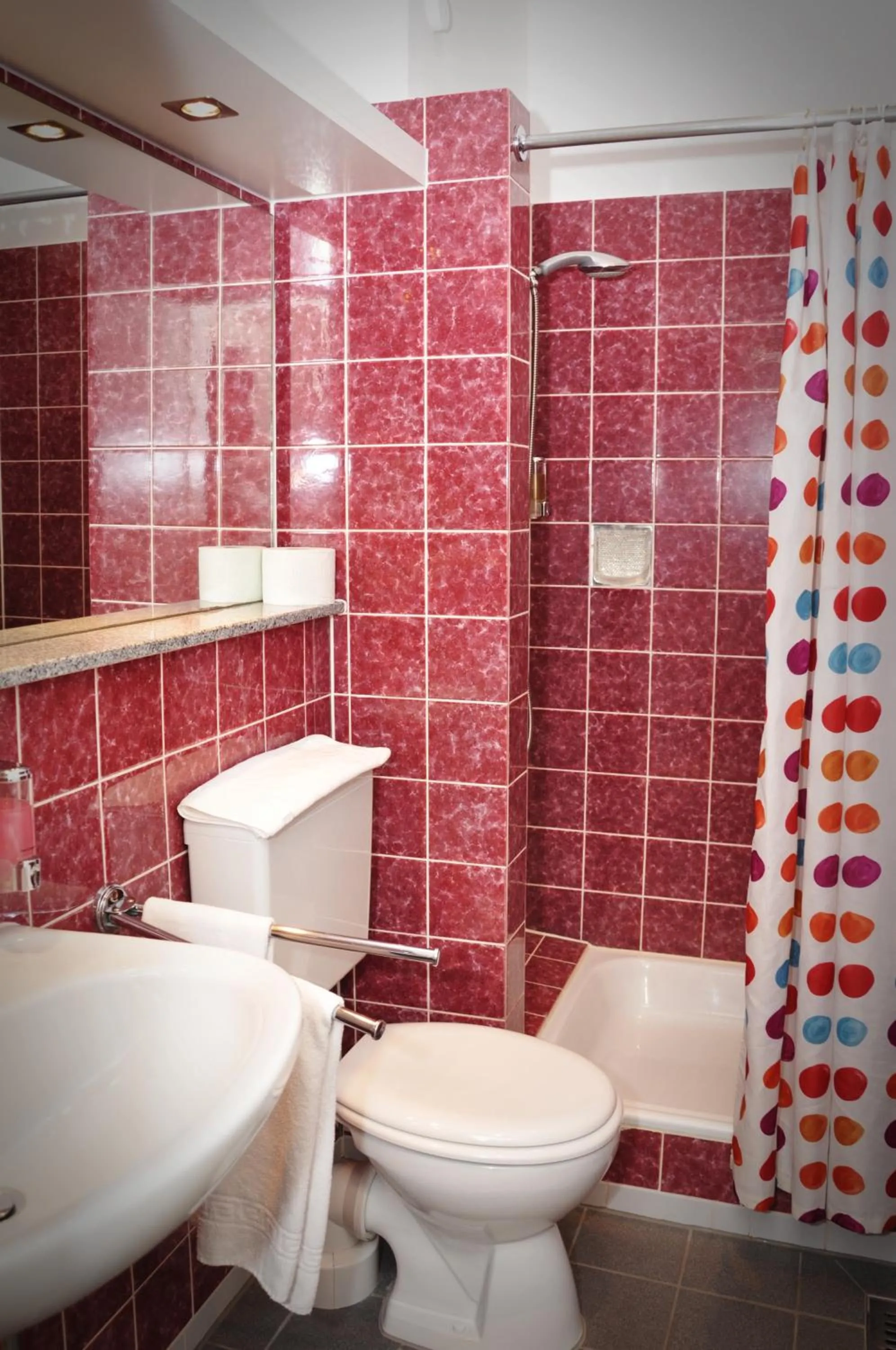 Bathroom in Hotel Litjes