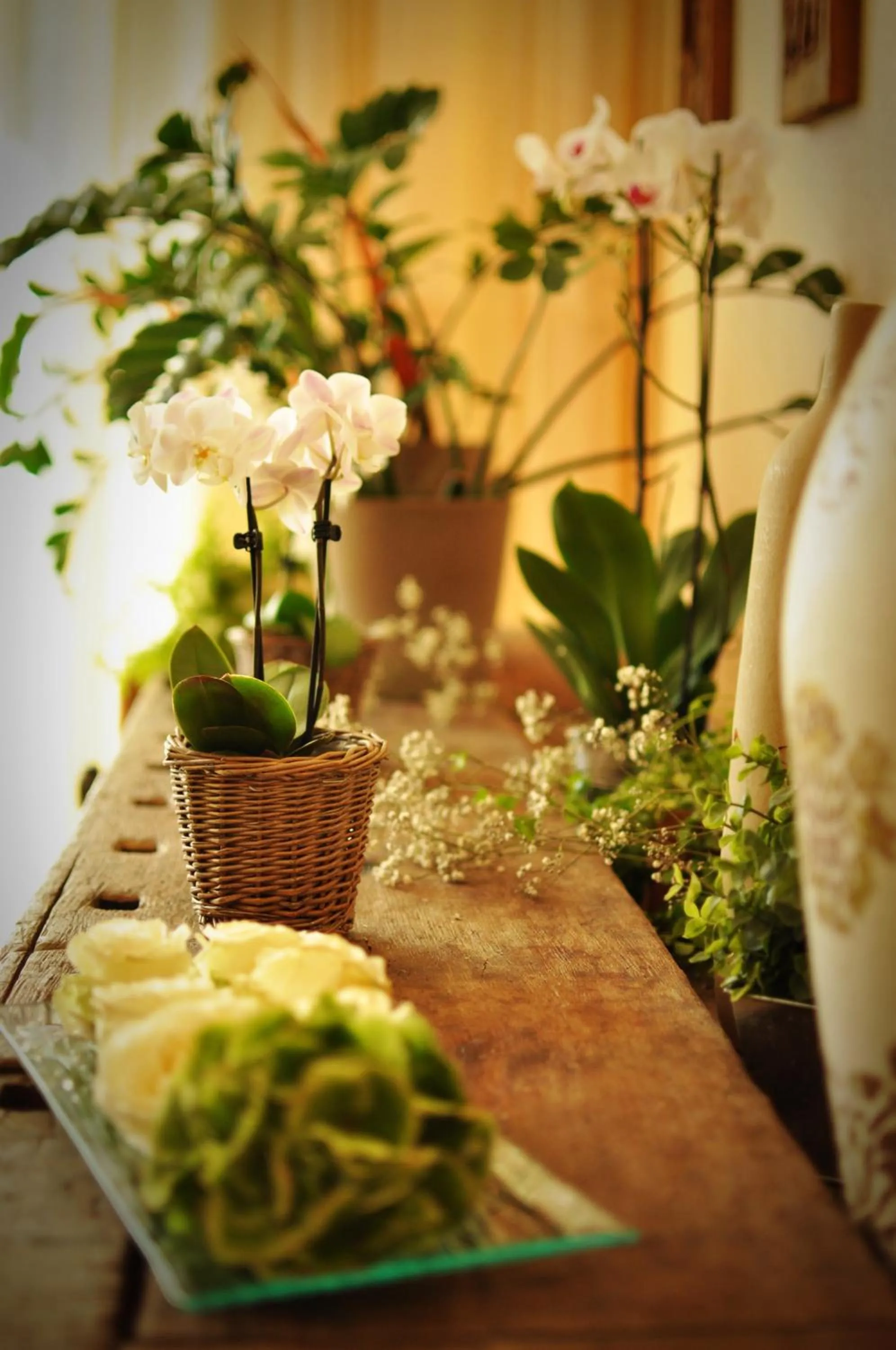 Decorative detail in Hotel Litjes