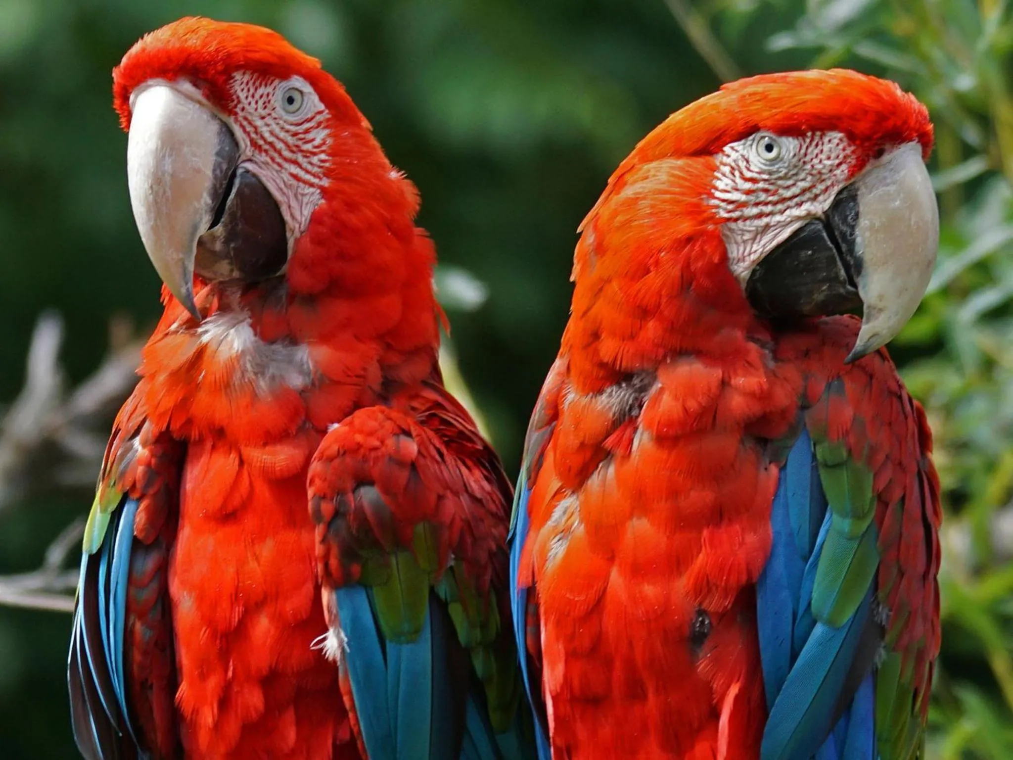 Arrayanes Playa Almuñecar