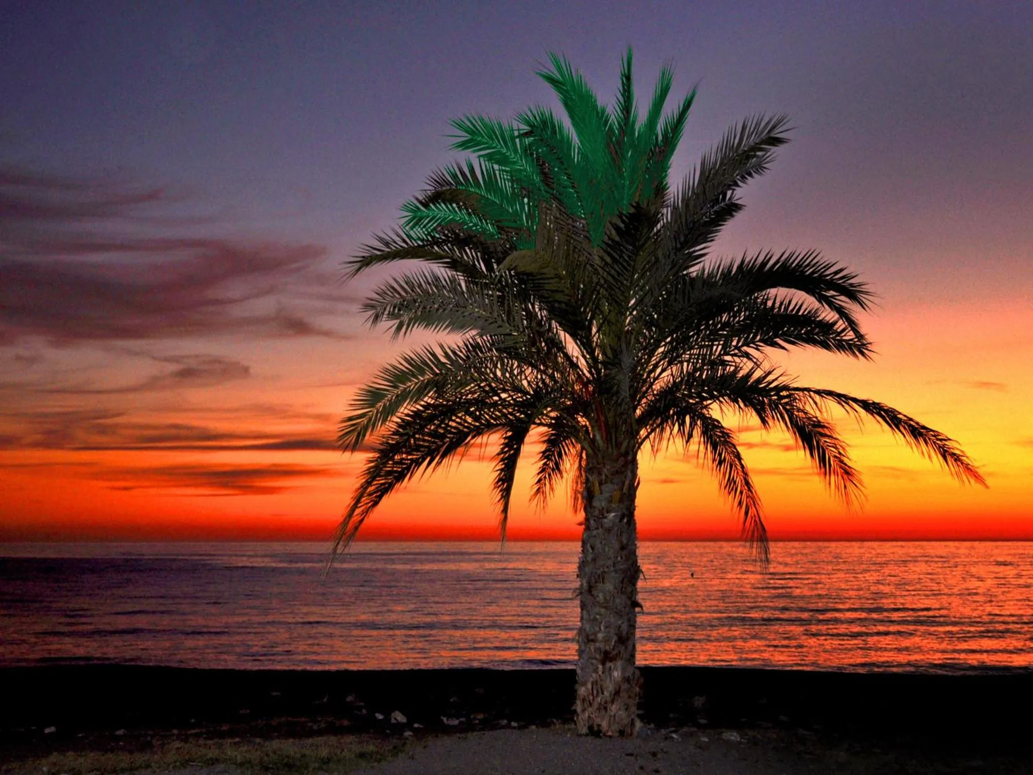 Arrayanes Playa Almuñecar