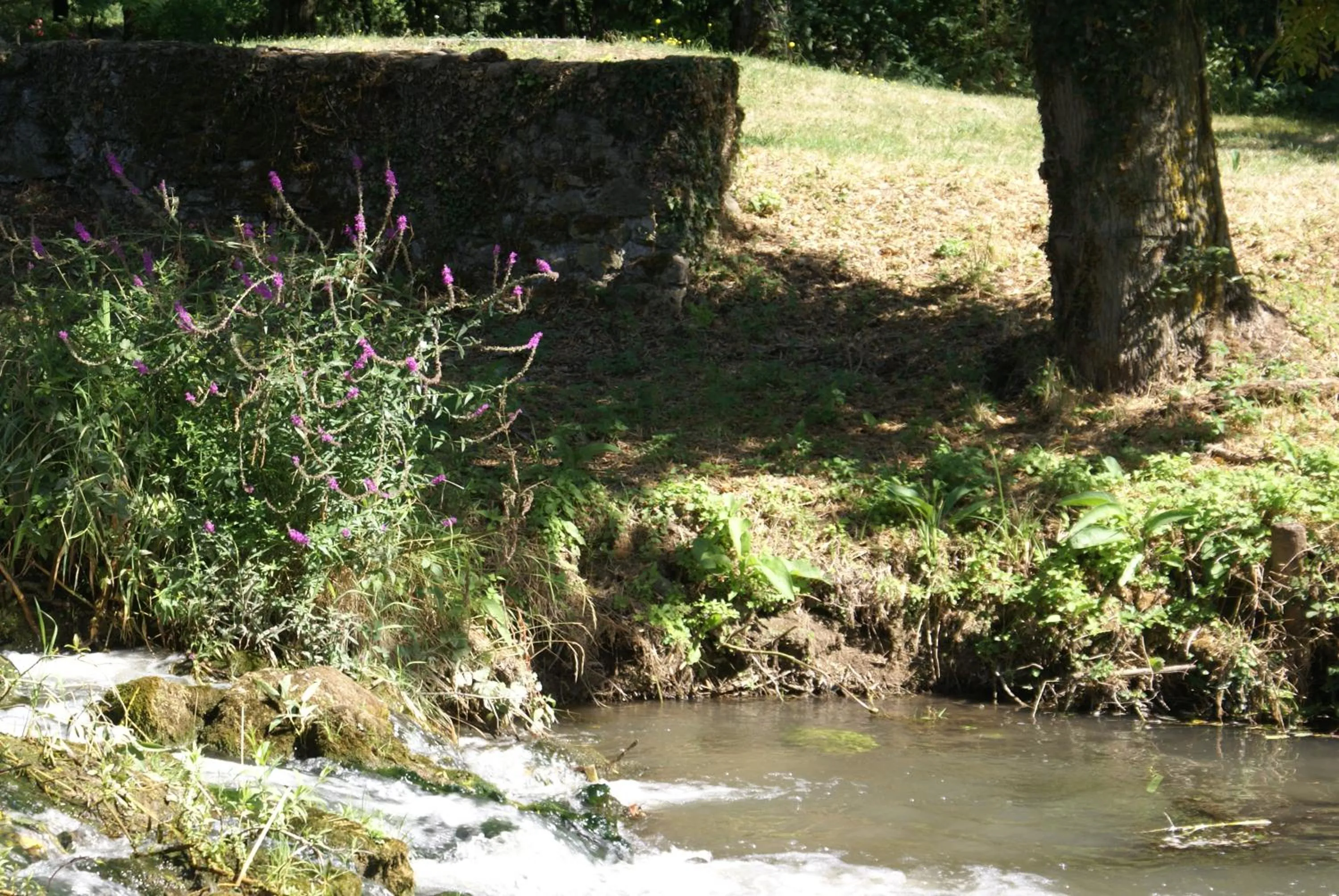 Moulin de Champrond -Montmirail -Sarthe
