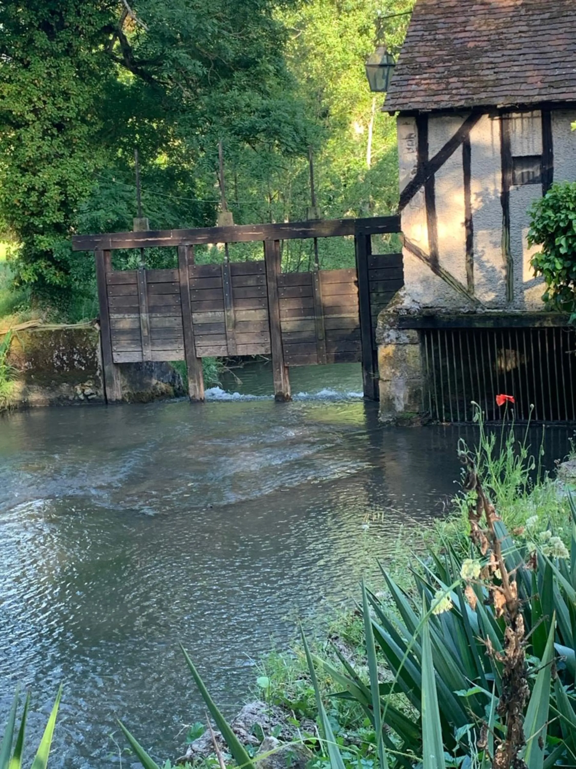 Moulin de Champrond -Montmirail -Sarthe