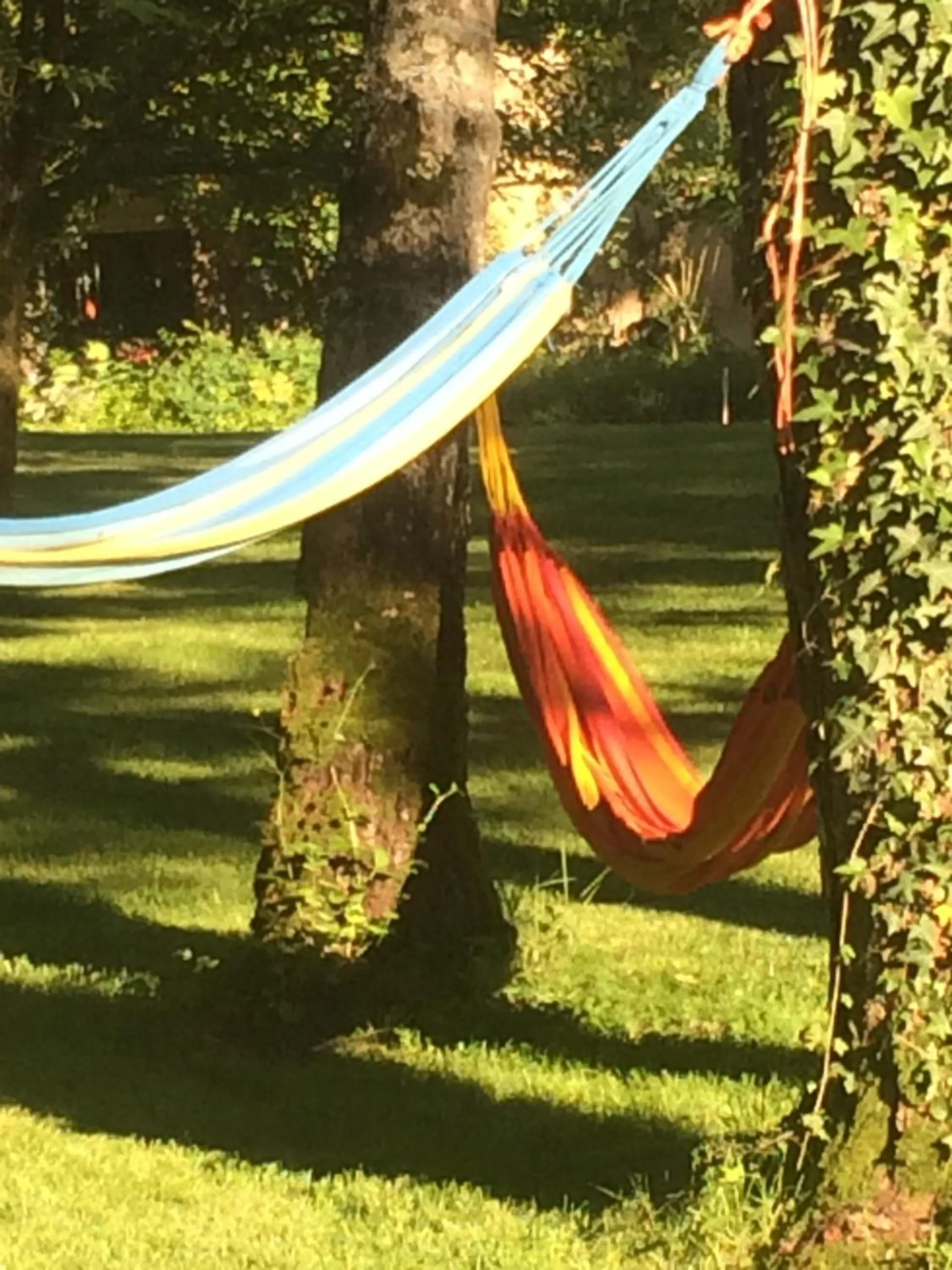 Garden in Moulin de Champrond -Montmirail -Sarthe