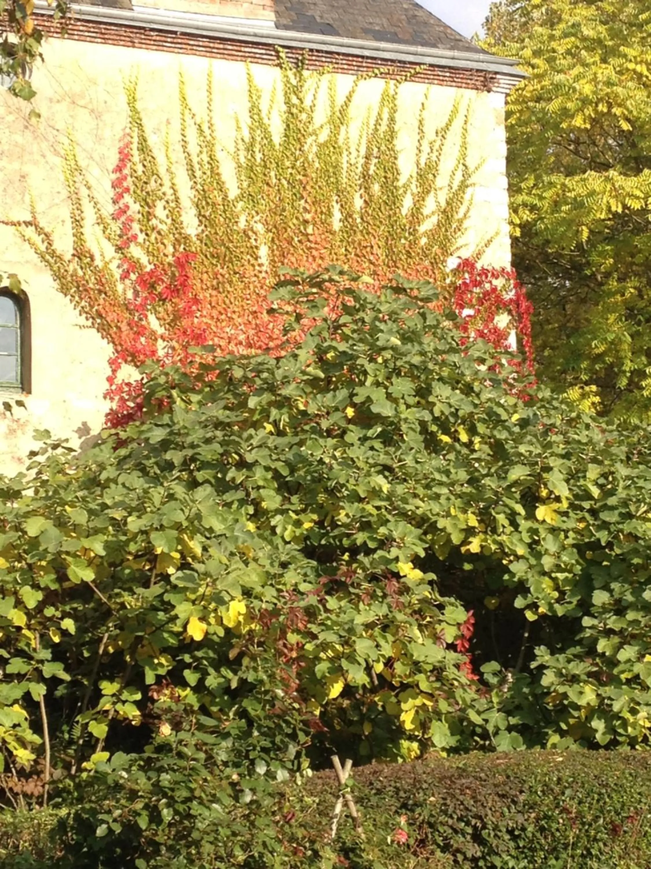 Property building in Moulin de Champrond -Montmirail -Sarthe