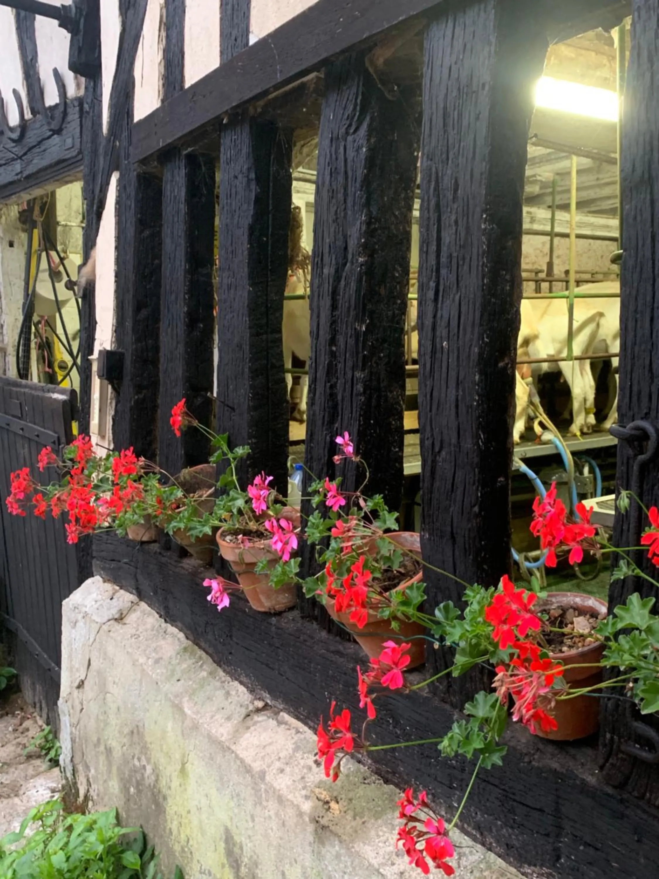 Moulin de Champrond -Montmirail -Sarthe
