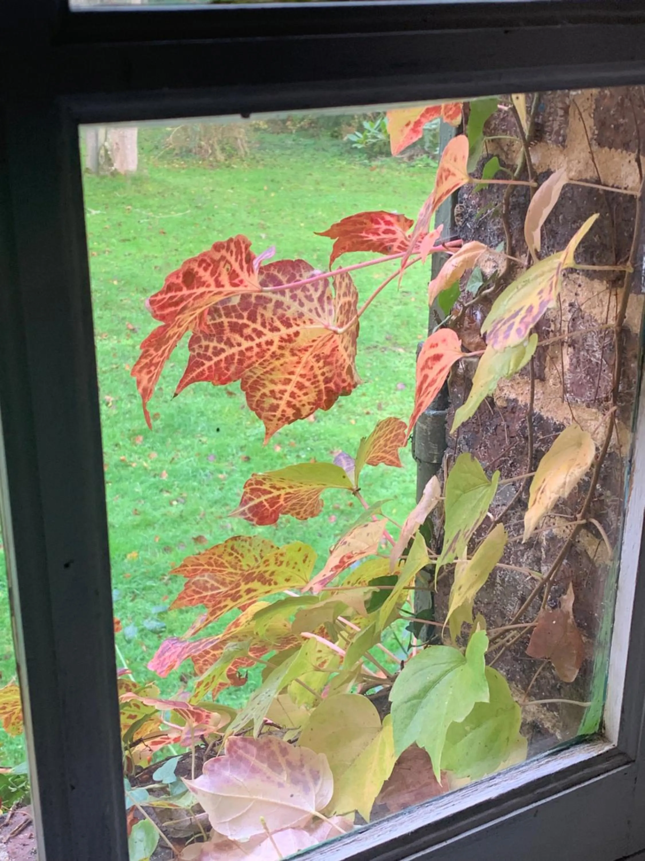 Moulin de Champrond -Montmirail -Sarthe